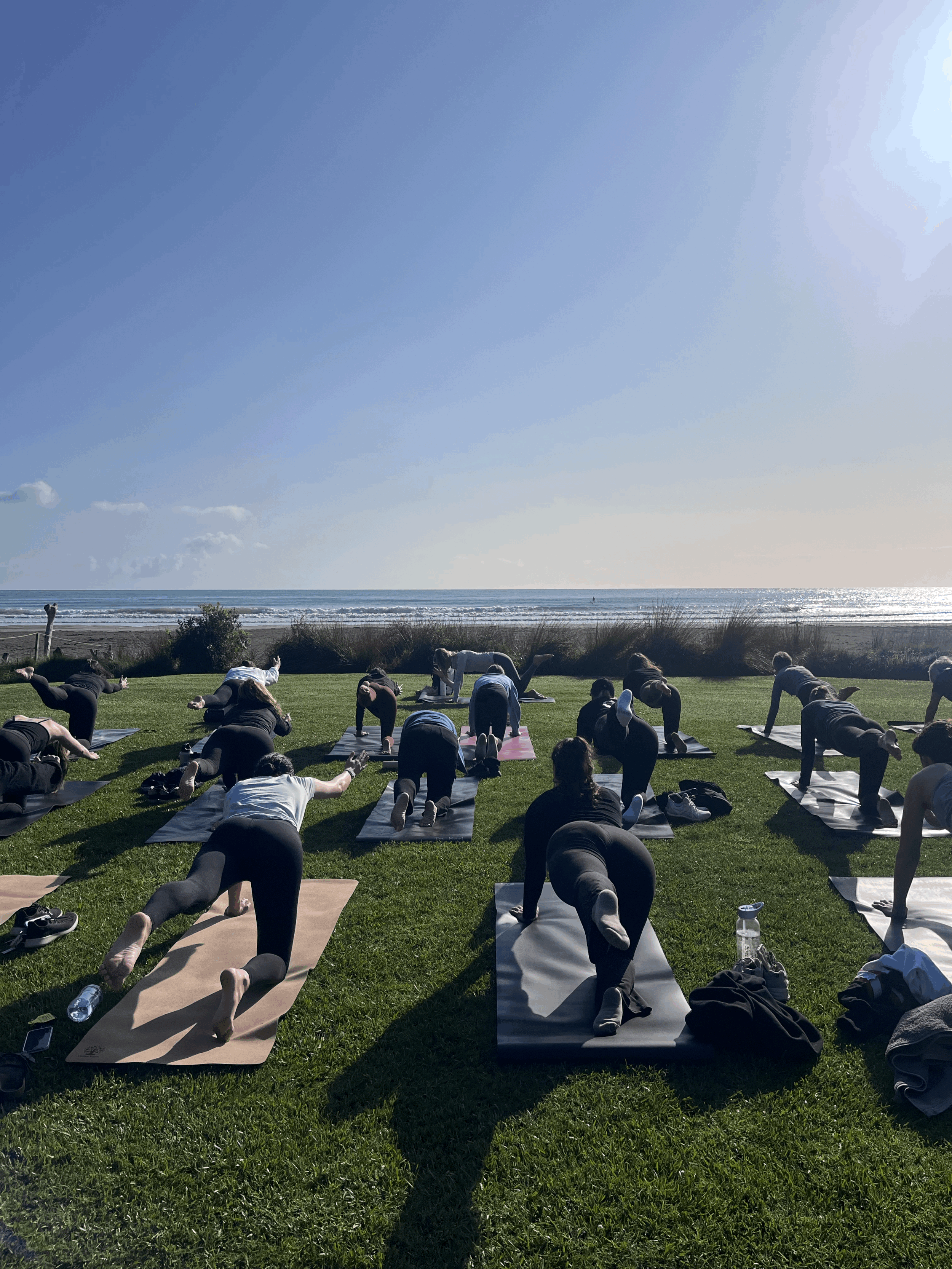 Ohope Beach Festival Flow