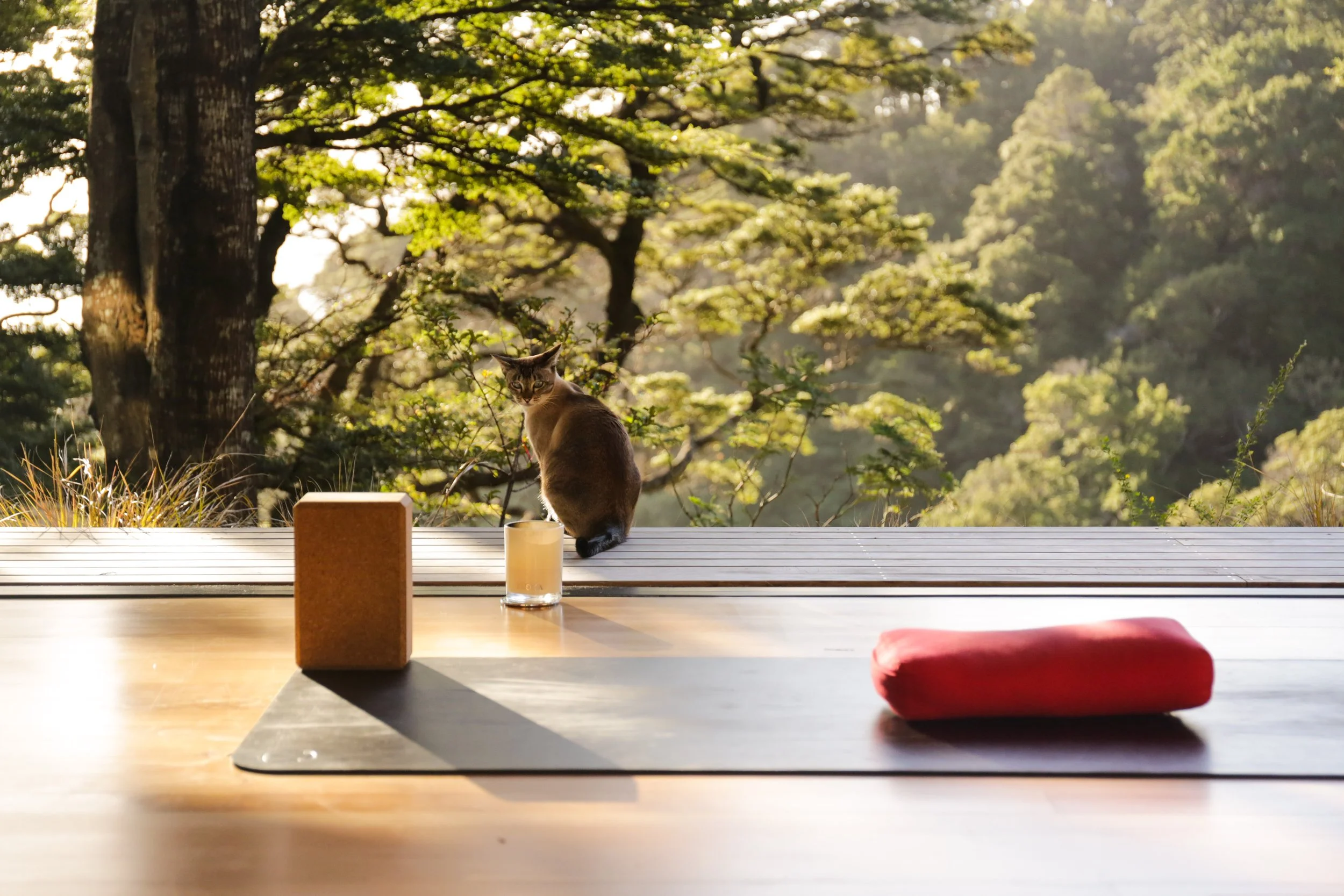 YogaClass-17.JPG