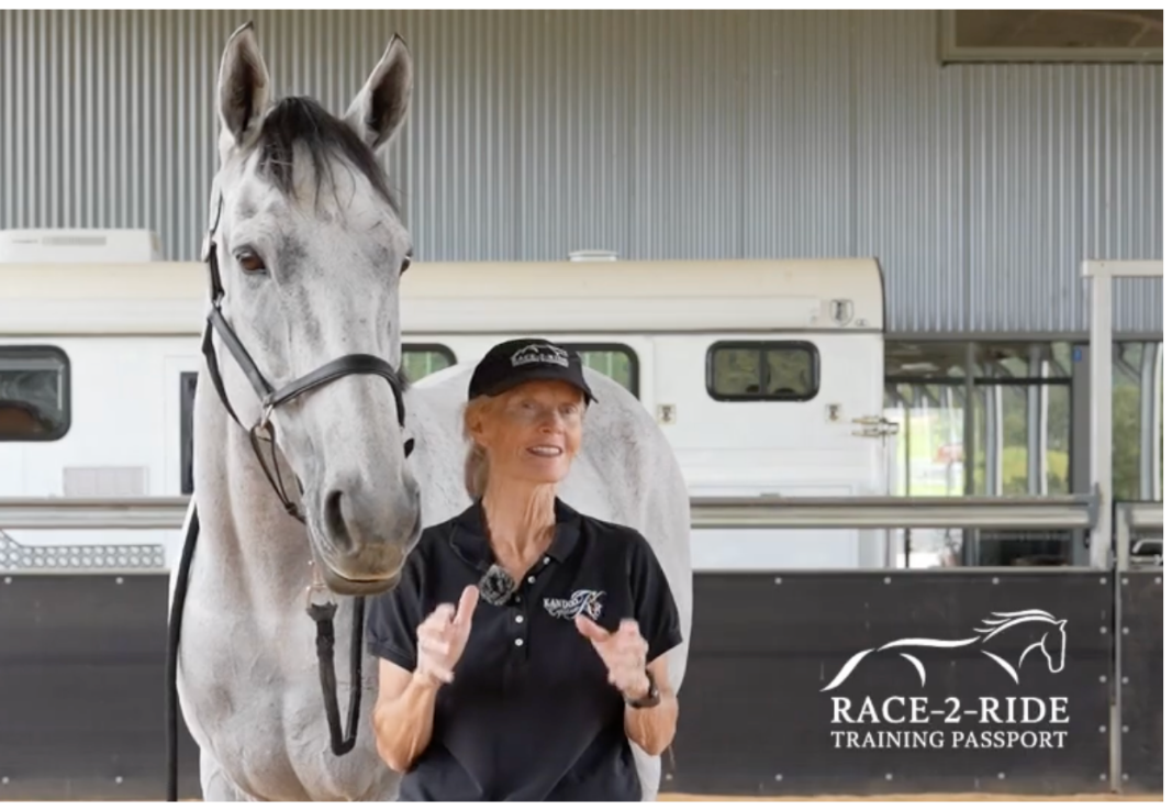 Second Careers for Off-the-Track Thoroughbreds - In conversation with Dr Kate Fenner