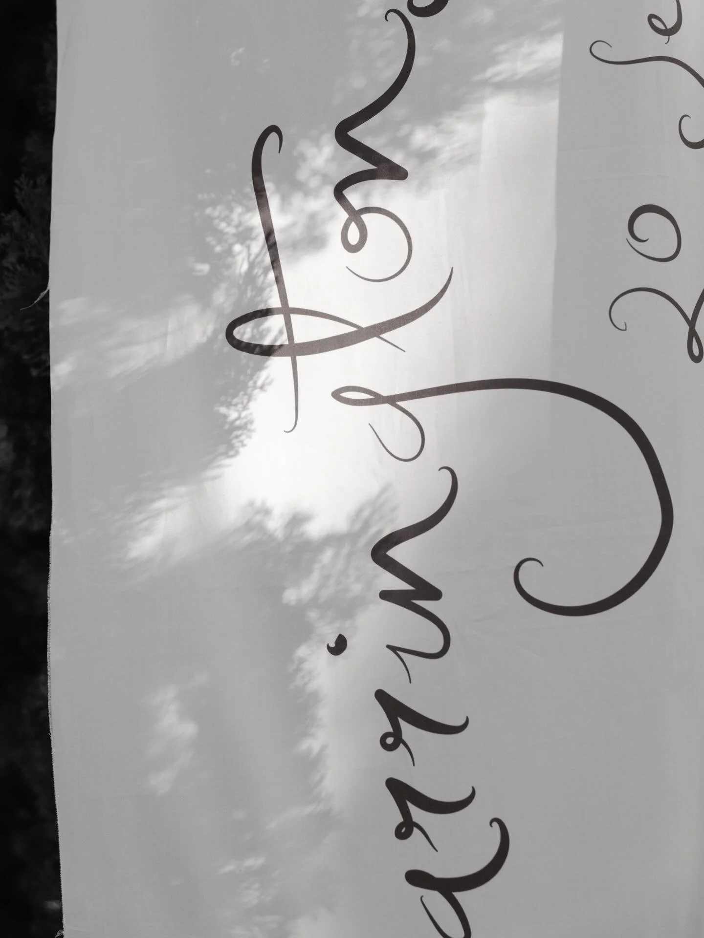 Under the Tuscan sun ☀️ 

Photography: @alexwysockiphotography
Film photography: @adamcrocker_photography
Planner: @weweddingintuscany
Venue/catering: @borgolaticastelli
Dress: @viviennewestwood
Florals: @puscinaflowers Cake:@stefano.lorenzoni
Lights