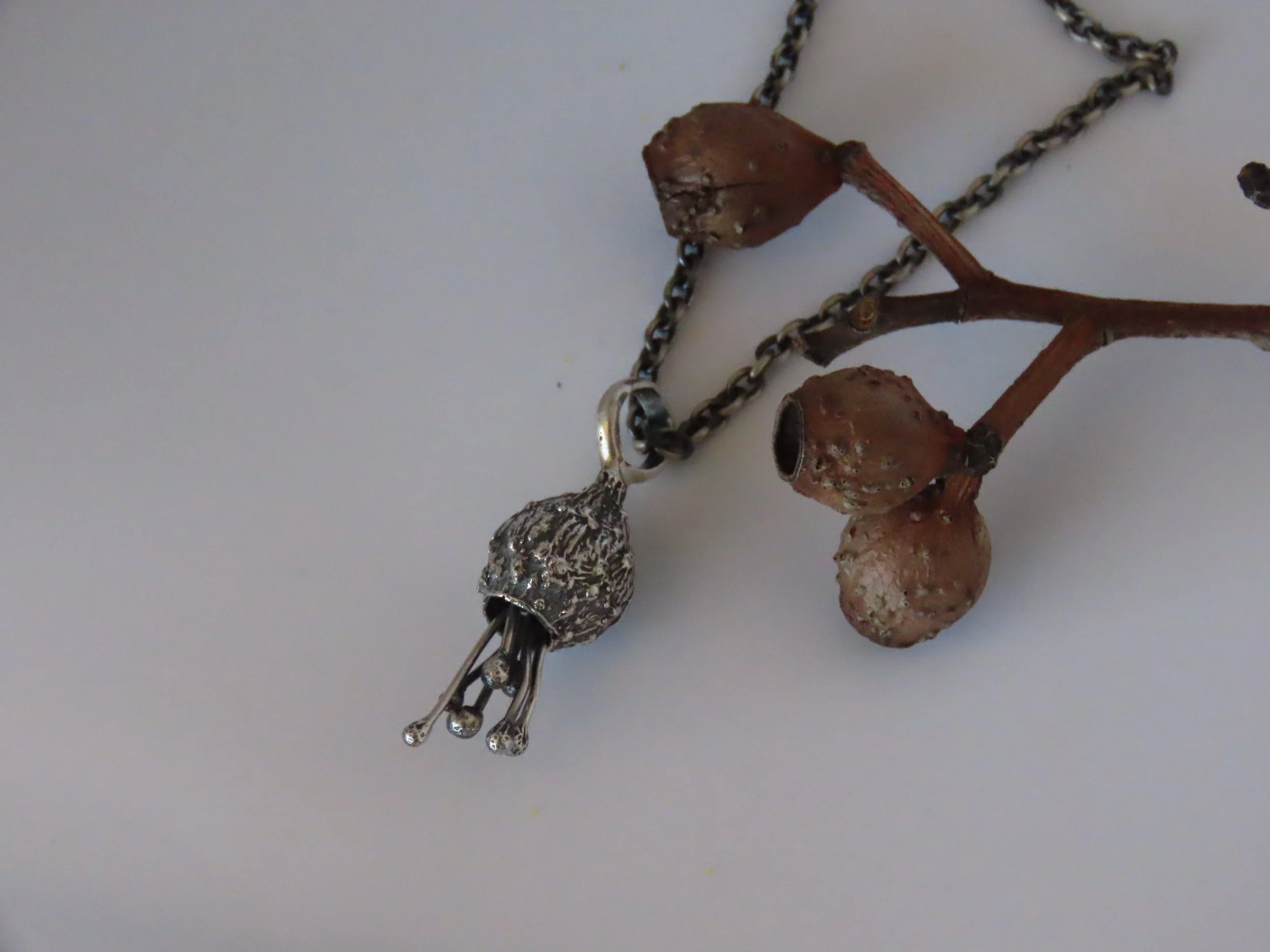 Flowering Bloodwood pod necklace