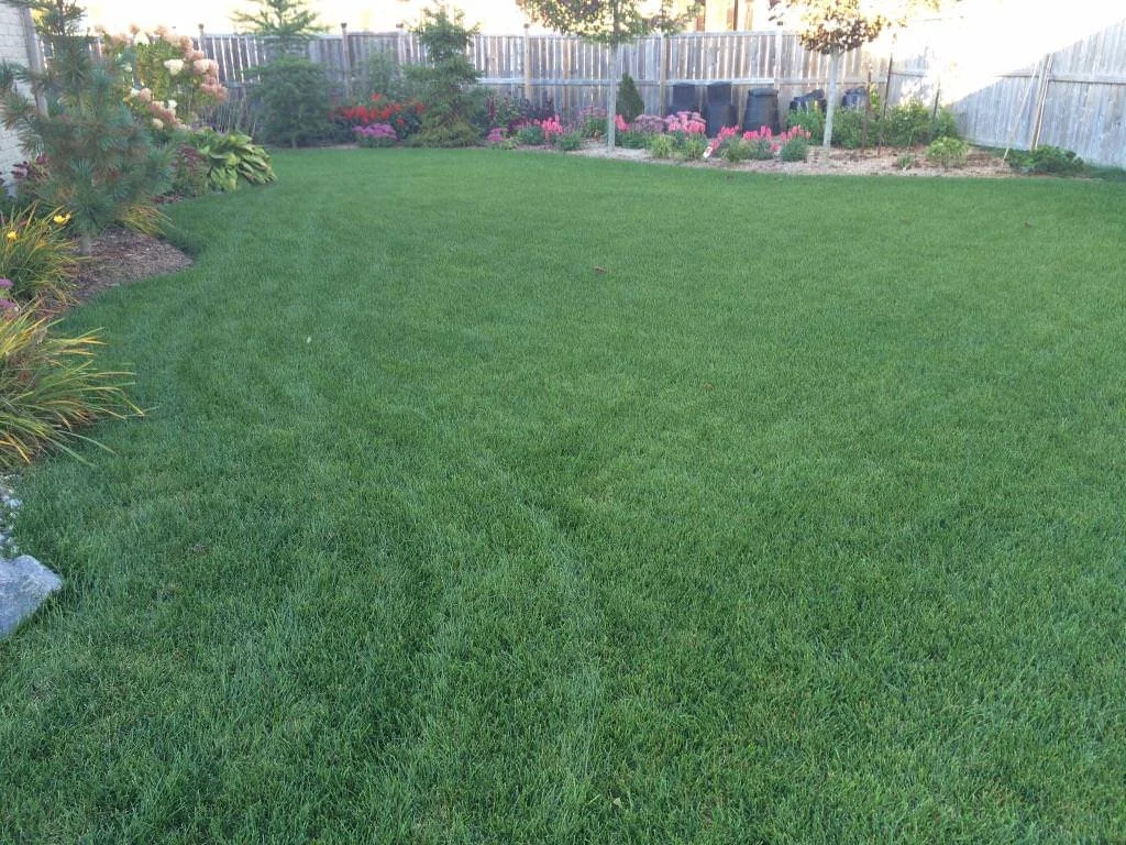 WhatsApp Image 2023-03-22 at 3.40.07 PM - MLS.jpeg