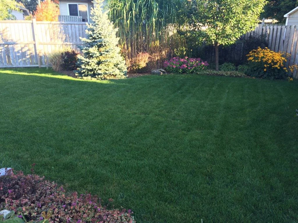 WhatsApp Image 2023-03-22 at 3.40.07 PM (2) - MLS.jpeg