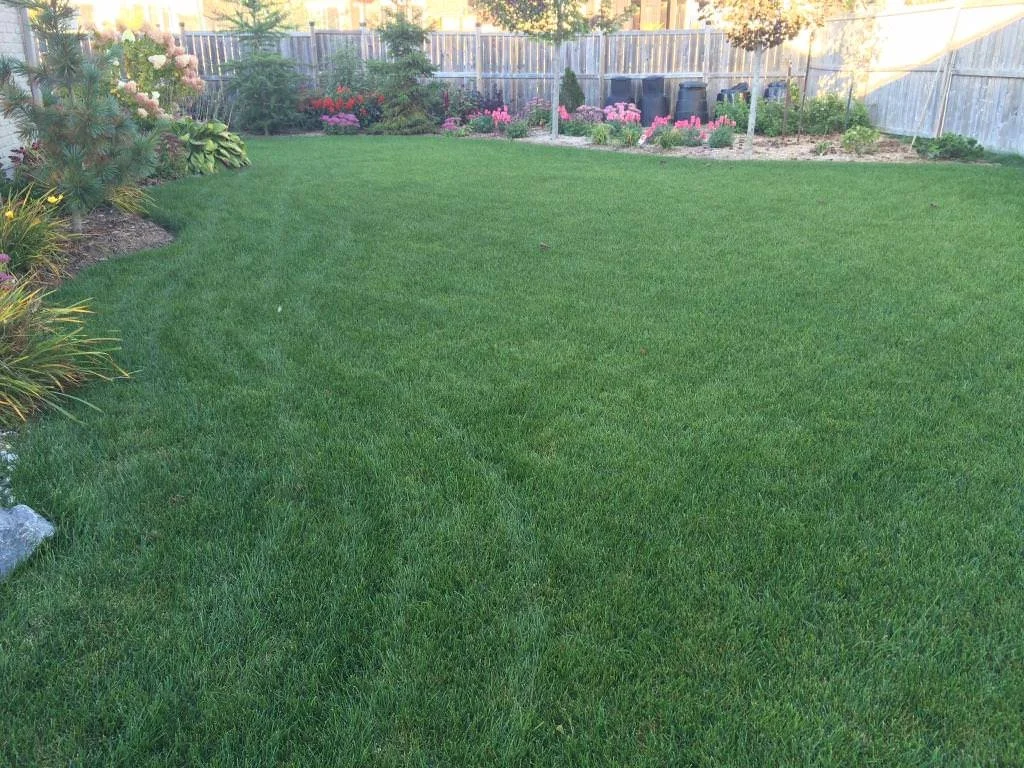 WhatsApp Image 2023-03-22 at 3.40.07 PM (3) - MLS.jpeg