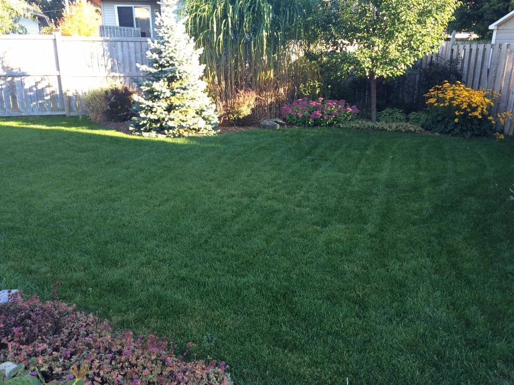 WhatsApp Image 2023-03-22 at 3.40.07 PM (4) - MLS.jpeg