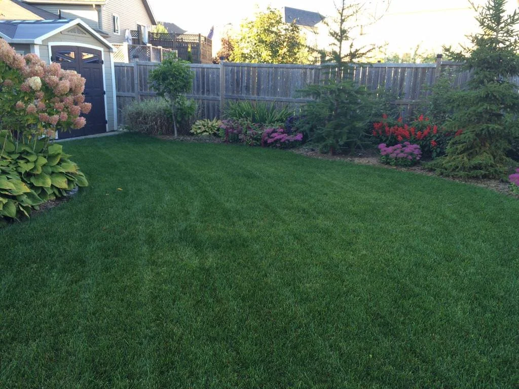 WhatsApp Image 2023-03-22 at 3.40.07 PM (5) - MLS.jpeg