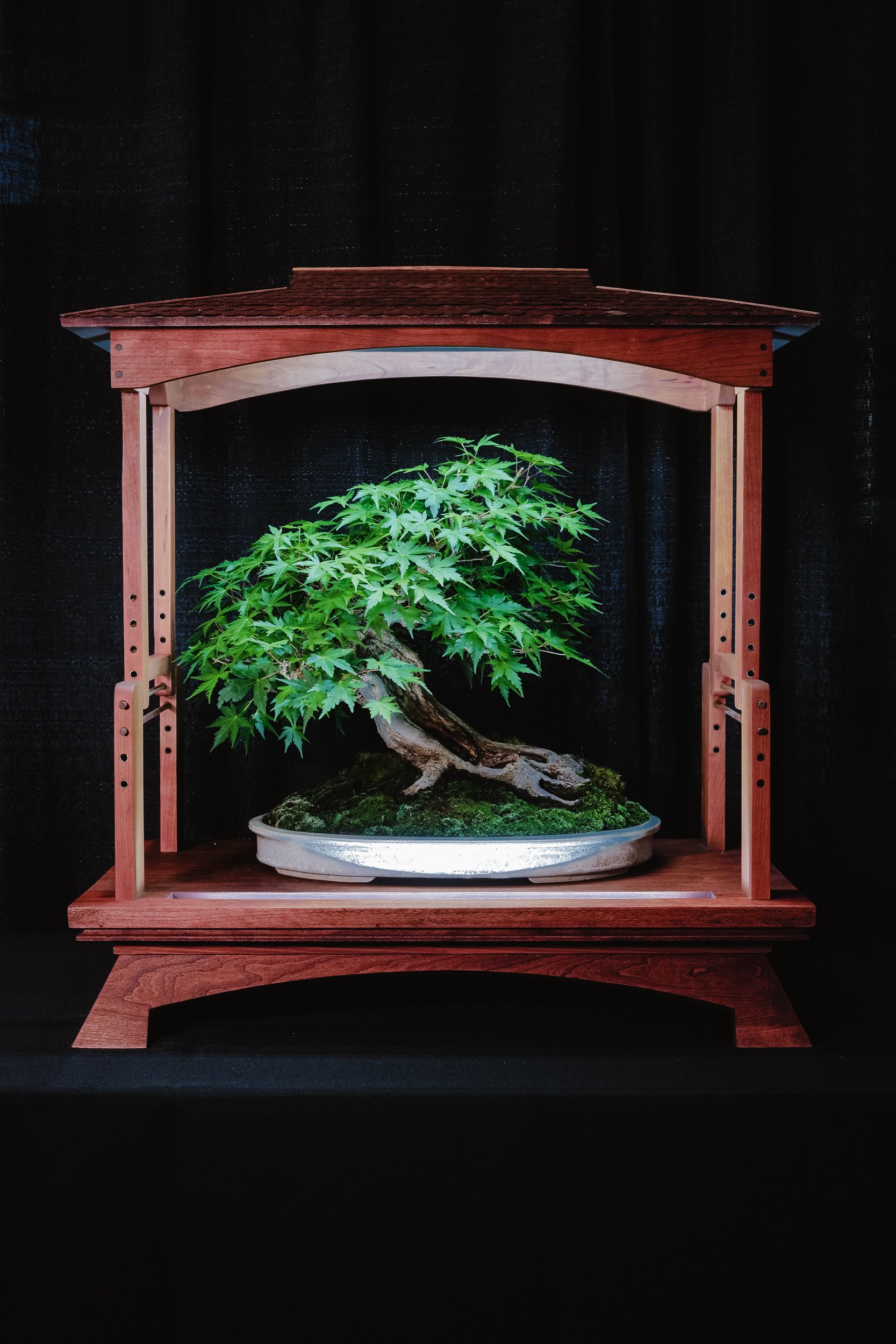 tree portraits-33.jpg