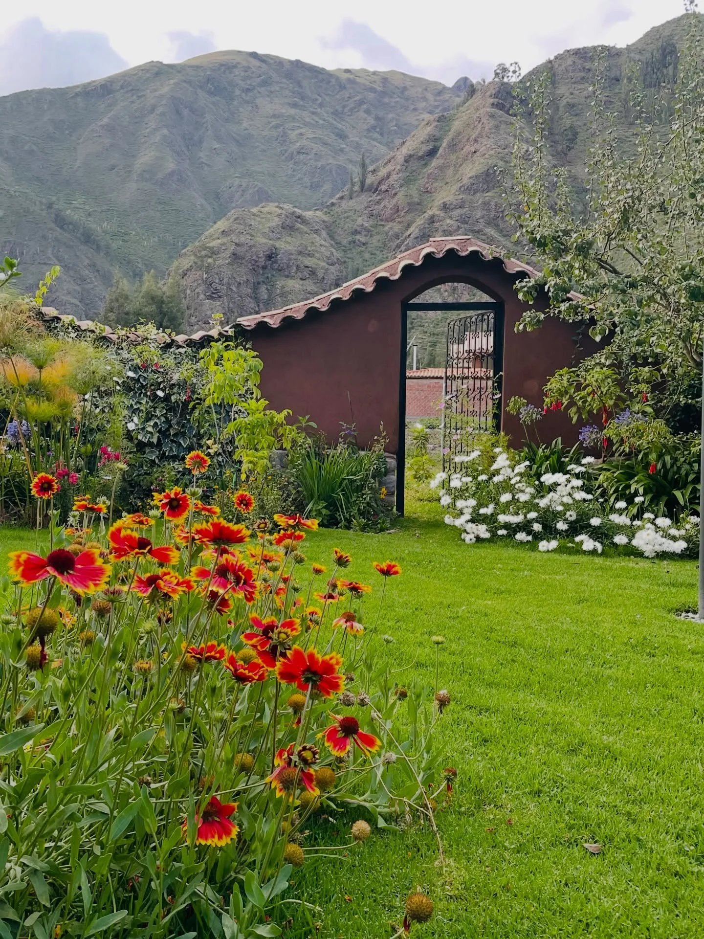 Come with us to Peru🌵

10 - 17th May

A week together in the sacred valley, a cosmic portal to the magical realms of the ancient Andes. 
Meet San Pedro / Huachuma a beloved, legal and revered plant teacher in a deliciously held, safe sanctuary.
Rece