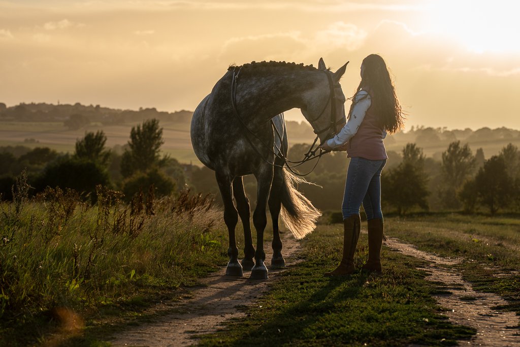 Mark Bramley Photography Dog and Horse photography - Staffordshire UK-5.jpg