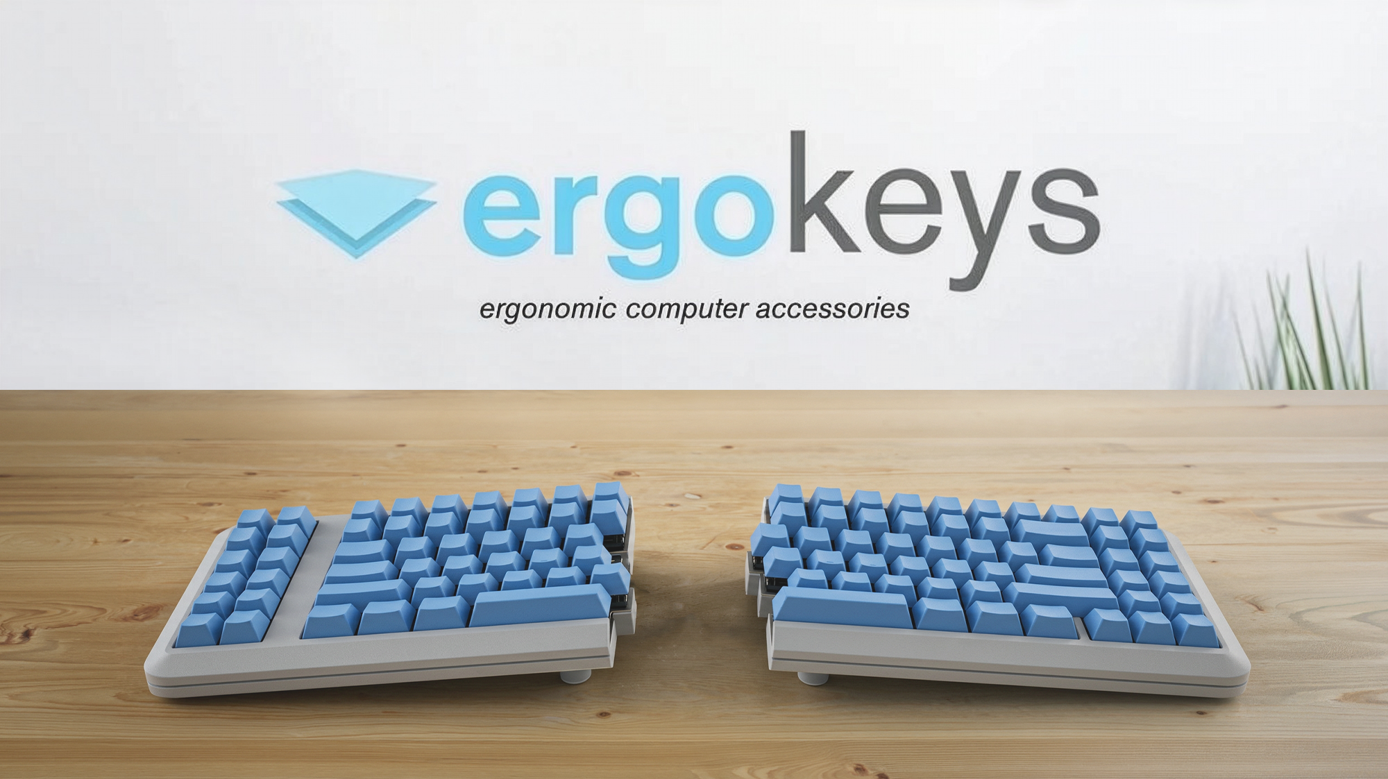 ErgoSplit Keyboard