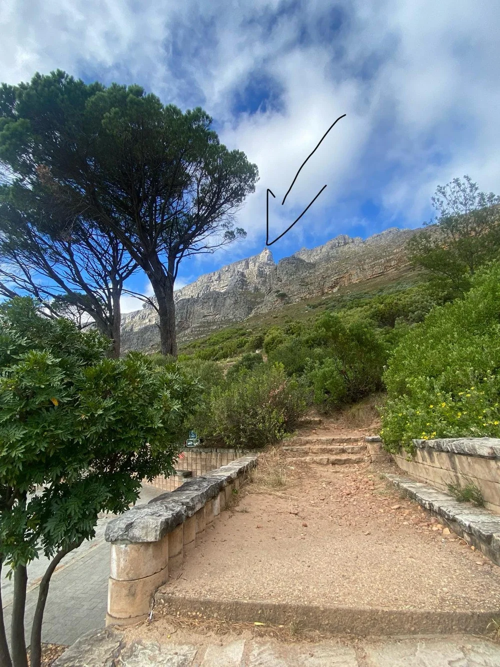 Chemin vers Table Mountain