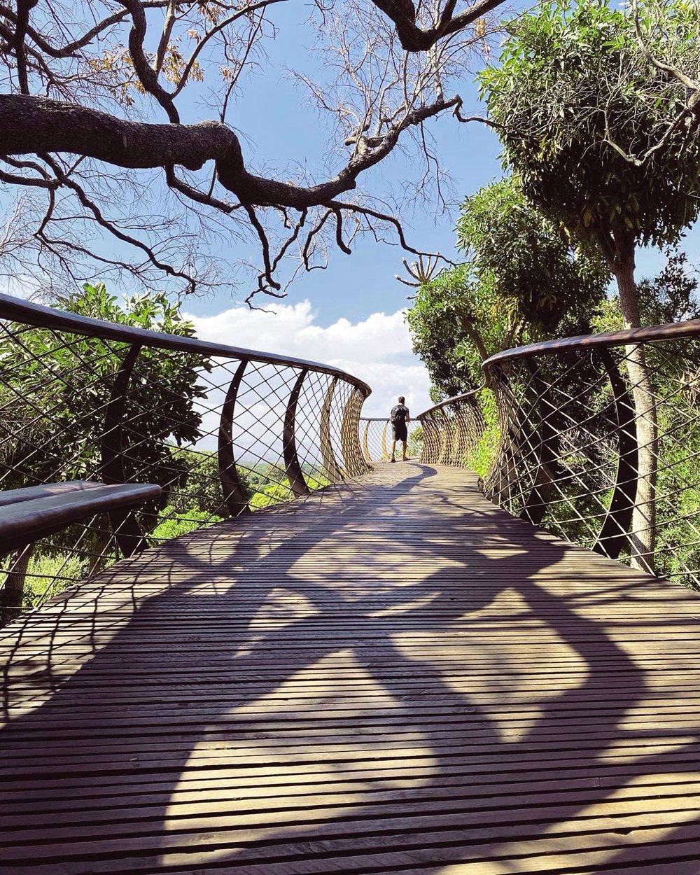 Kirstenboch National Botanical Garden