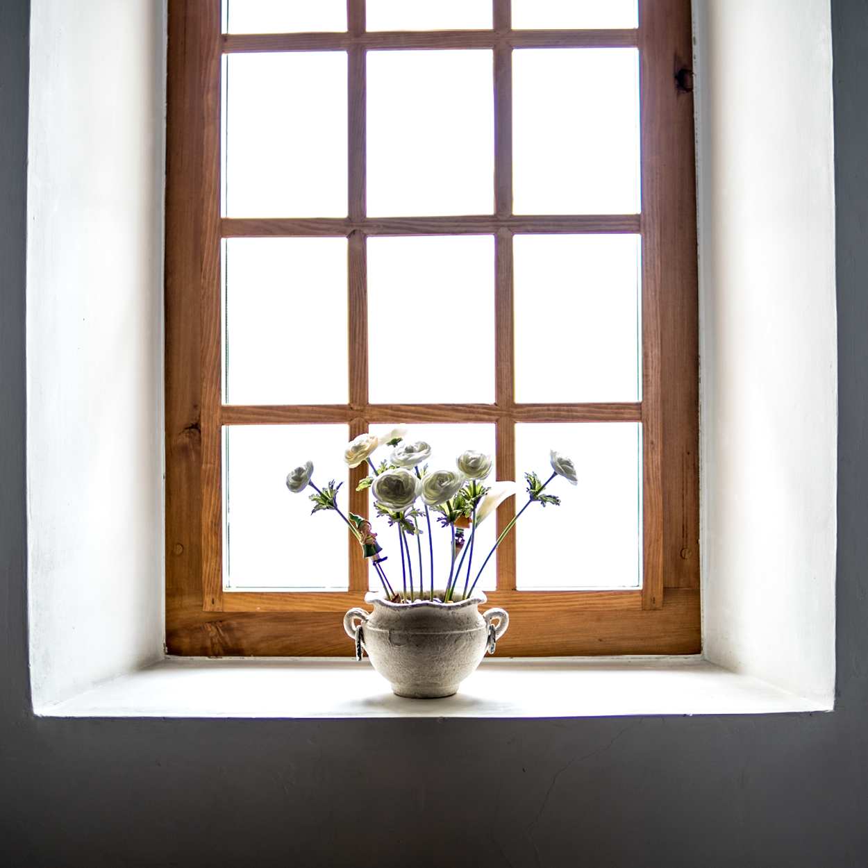 windowreview2.png