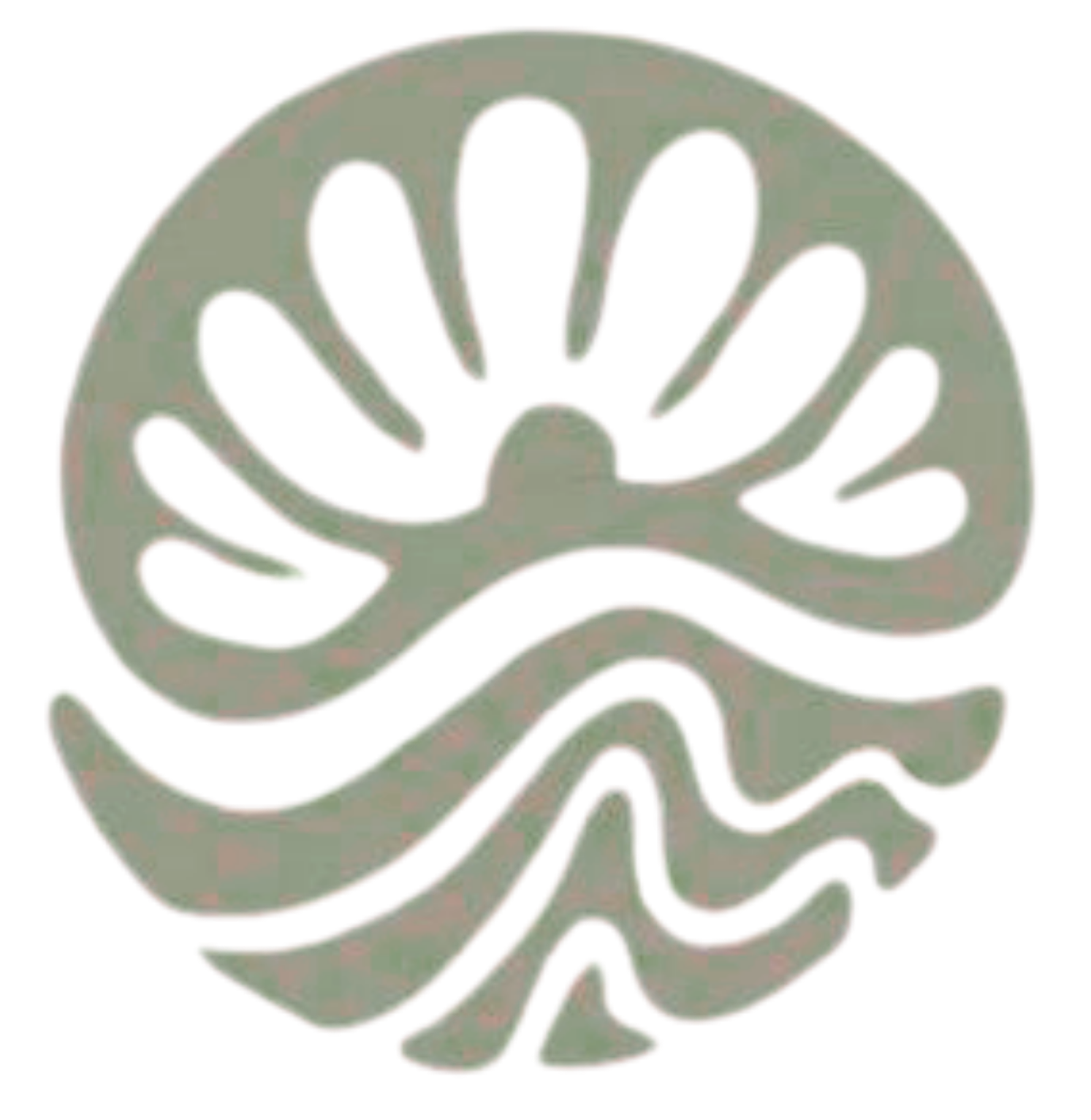 Riviera Maya Ingatlanok