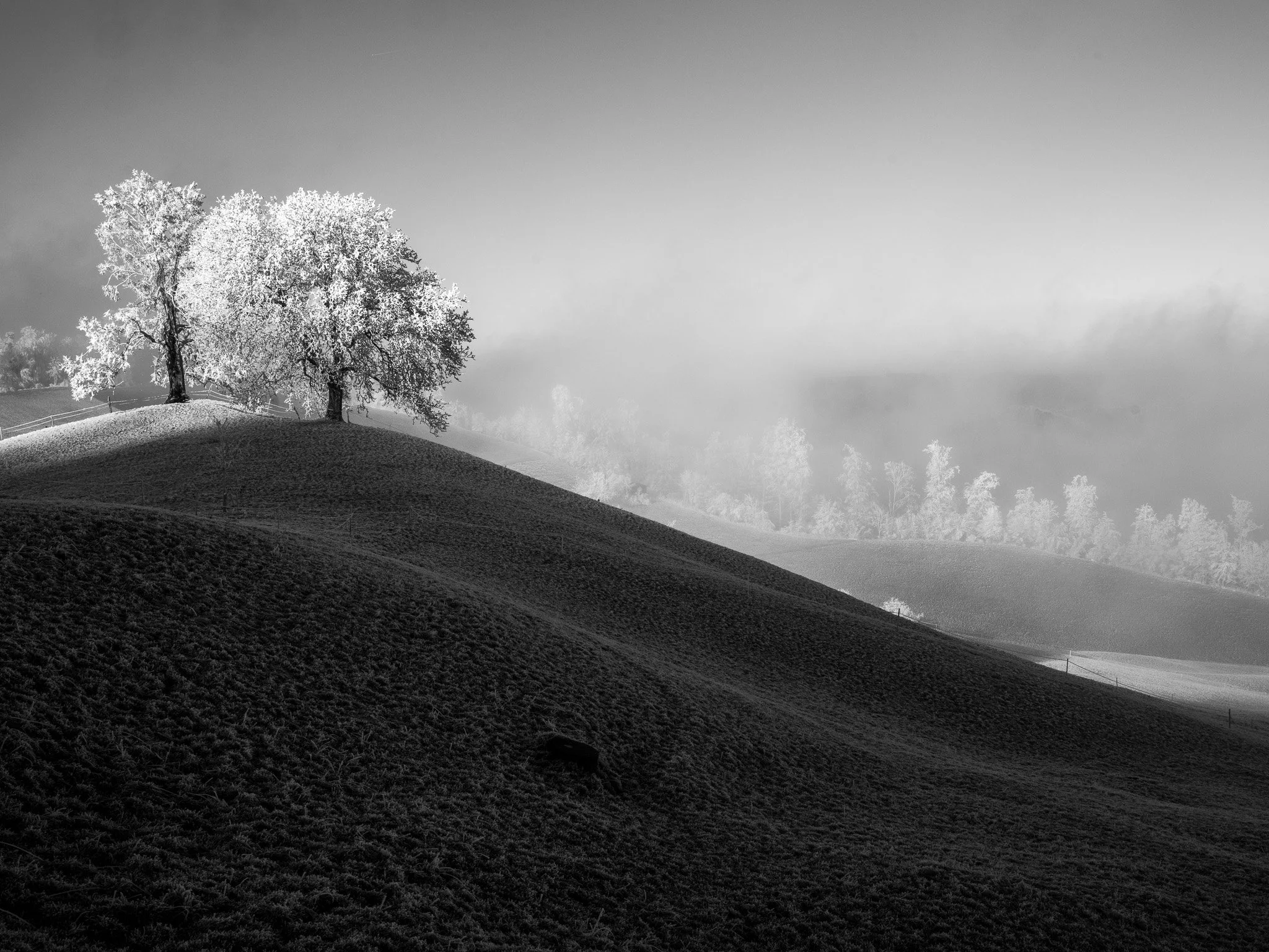 8_Walter Hiltpold Fotografie_Spaziergänge.jpg