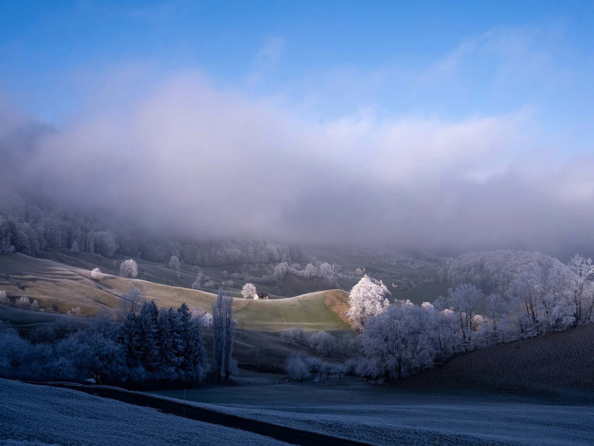 4_Walter Hiltpold Fotografie_Spaziergänge.jpg