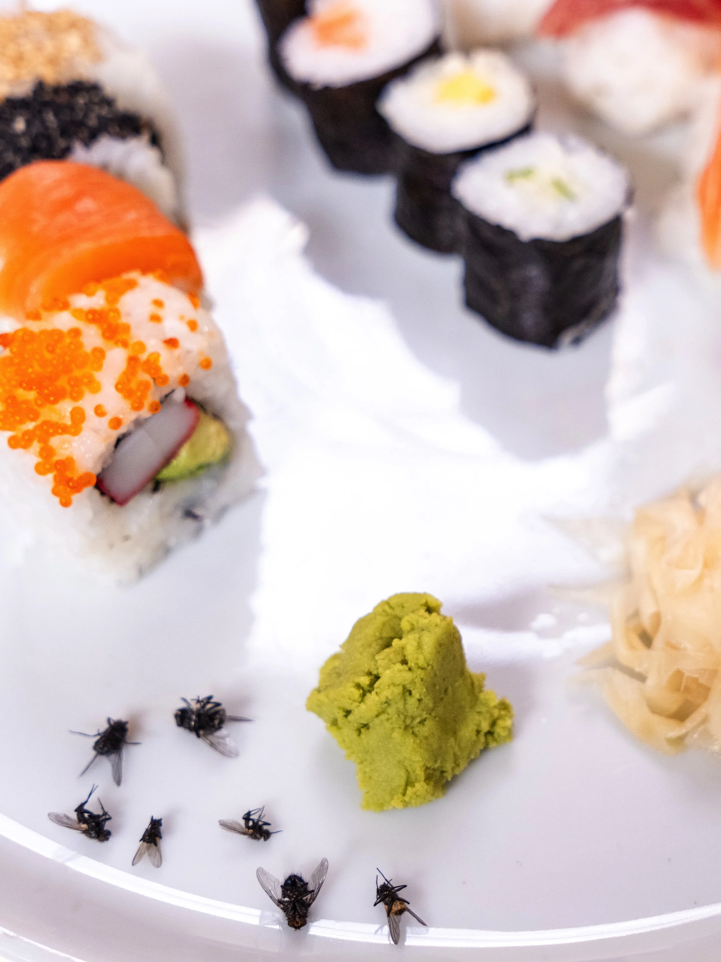 4_Walter Hiltpold Fotografie_Märechen copy.jpg