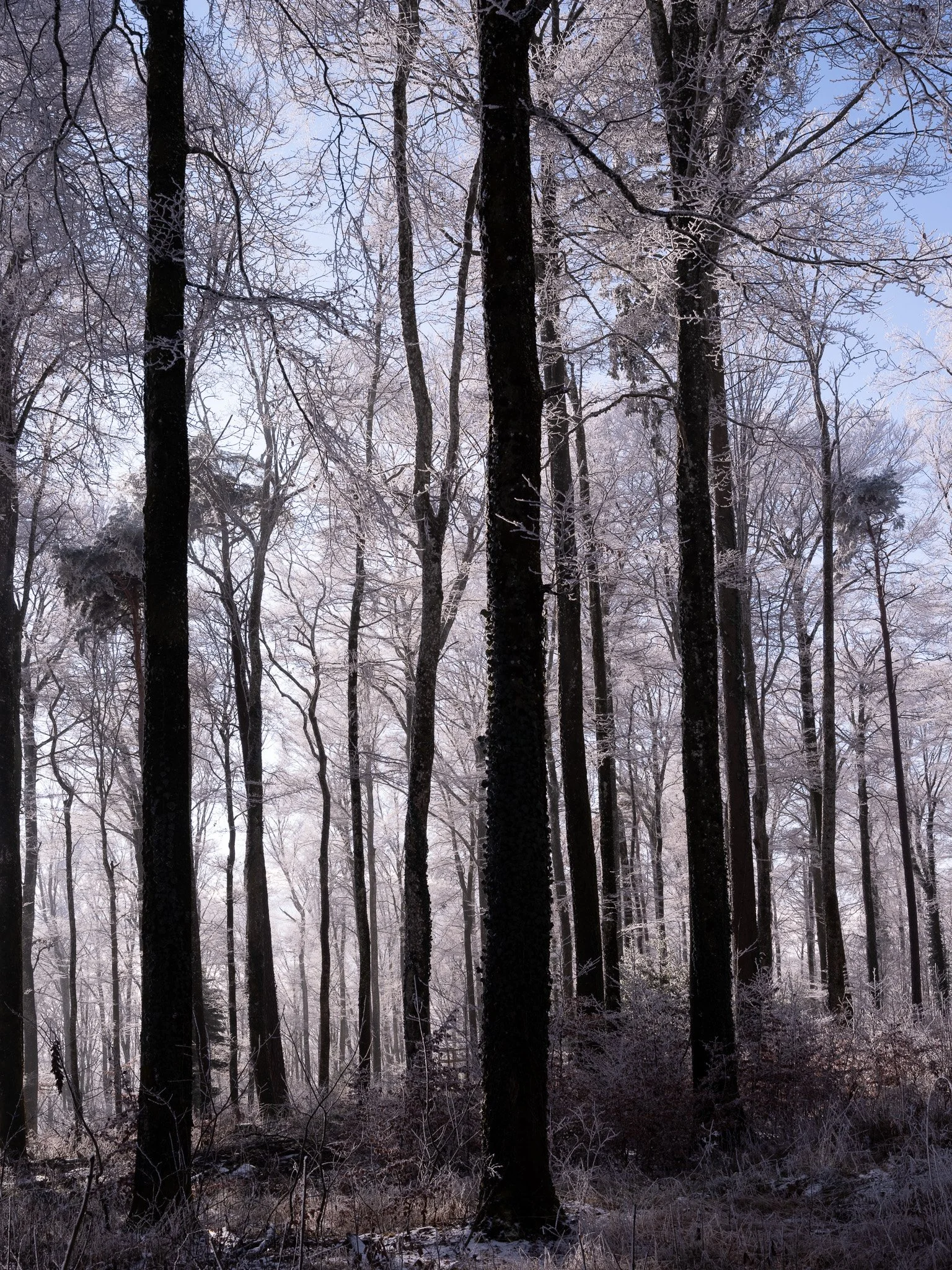 3_Walter Hiltpold Fotografie_Spaziergänge.jpg