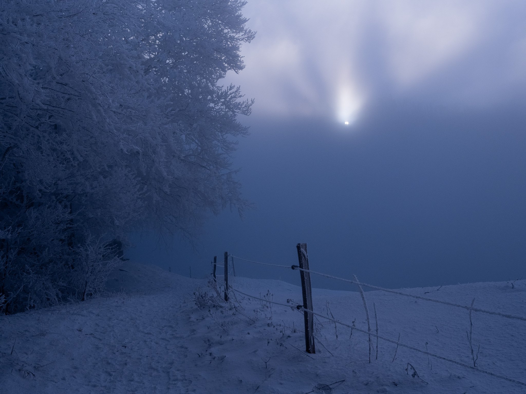 5_Walter Hiltpold Fotografie_Spaziergänge.jpg