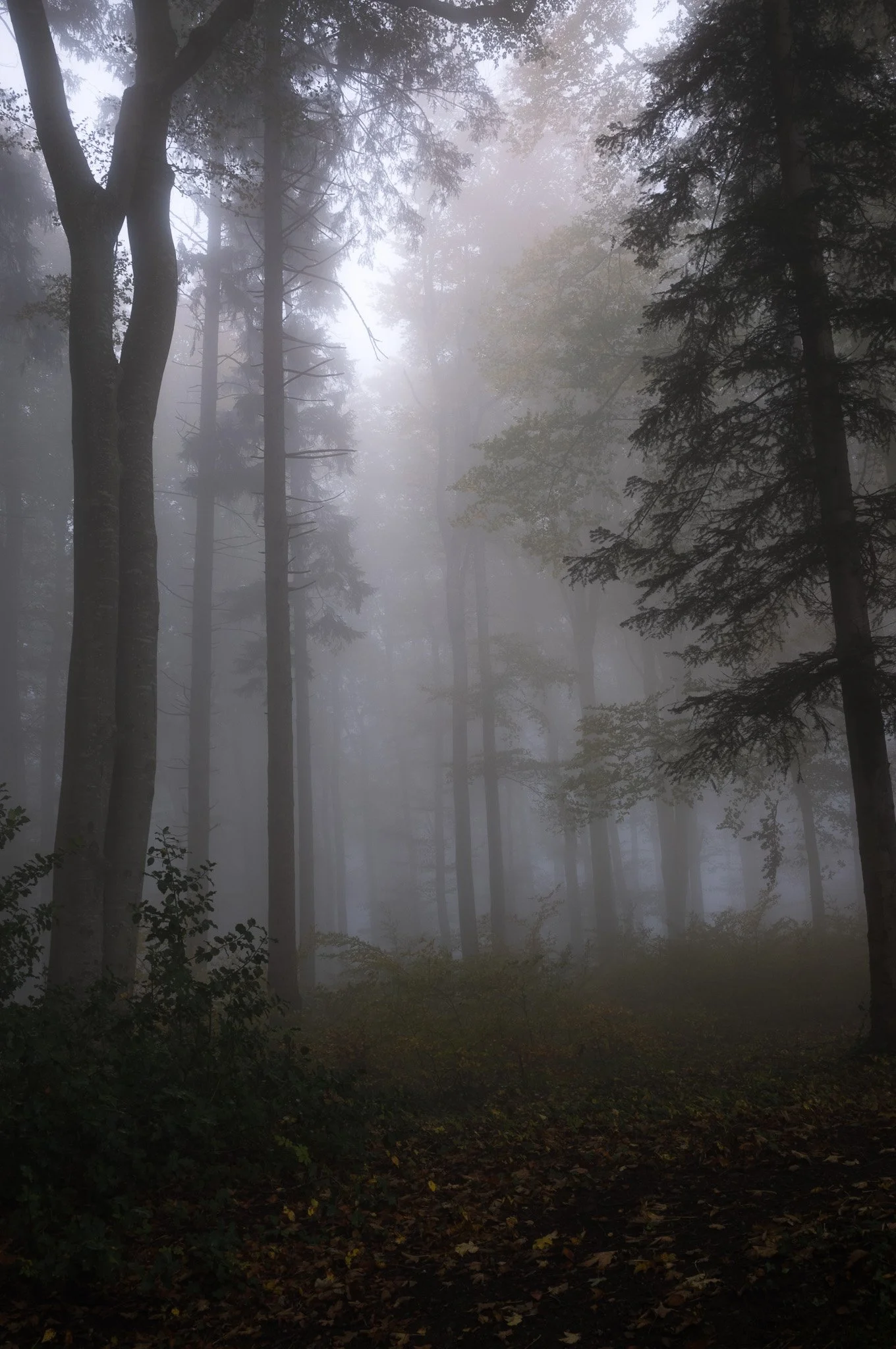 L1002174.jpg