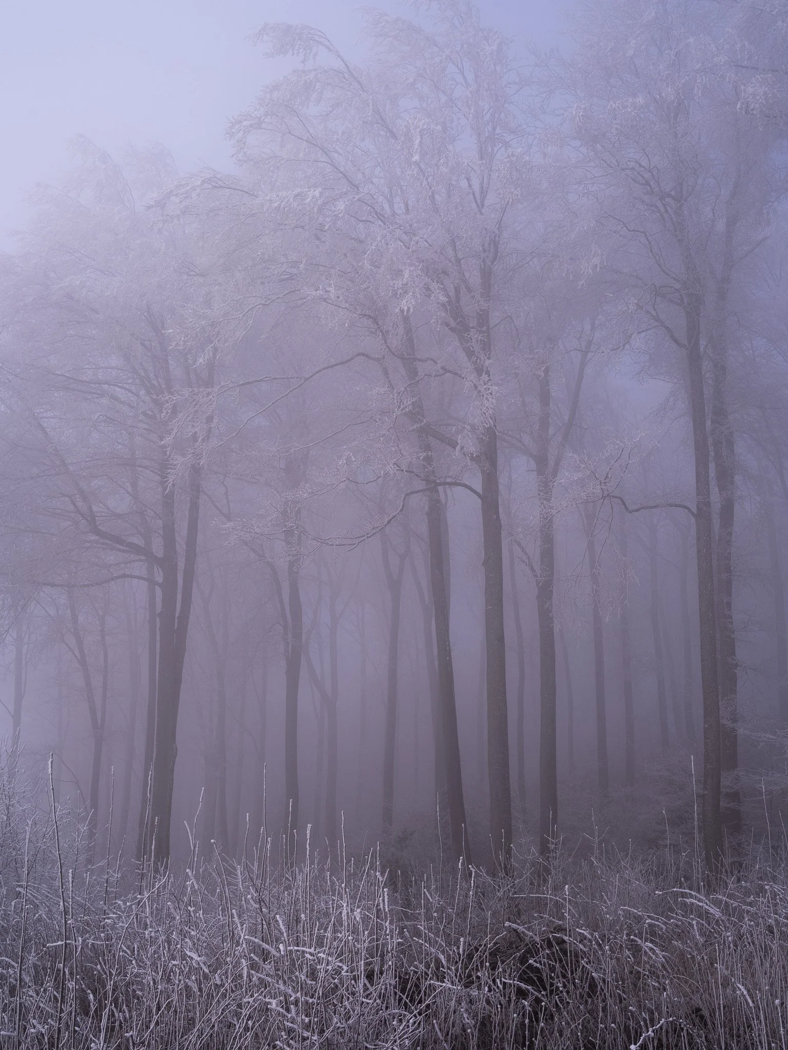 0_Walter Hiltpold Fotografie_Spaziergänge.jpg