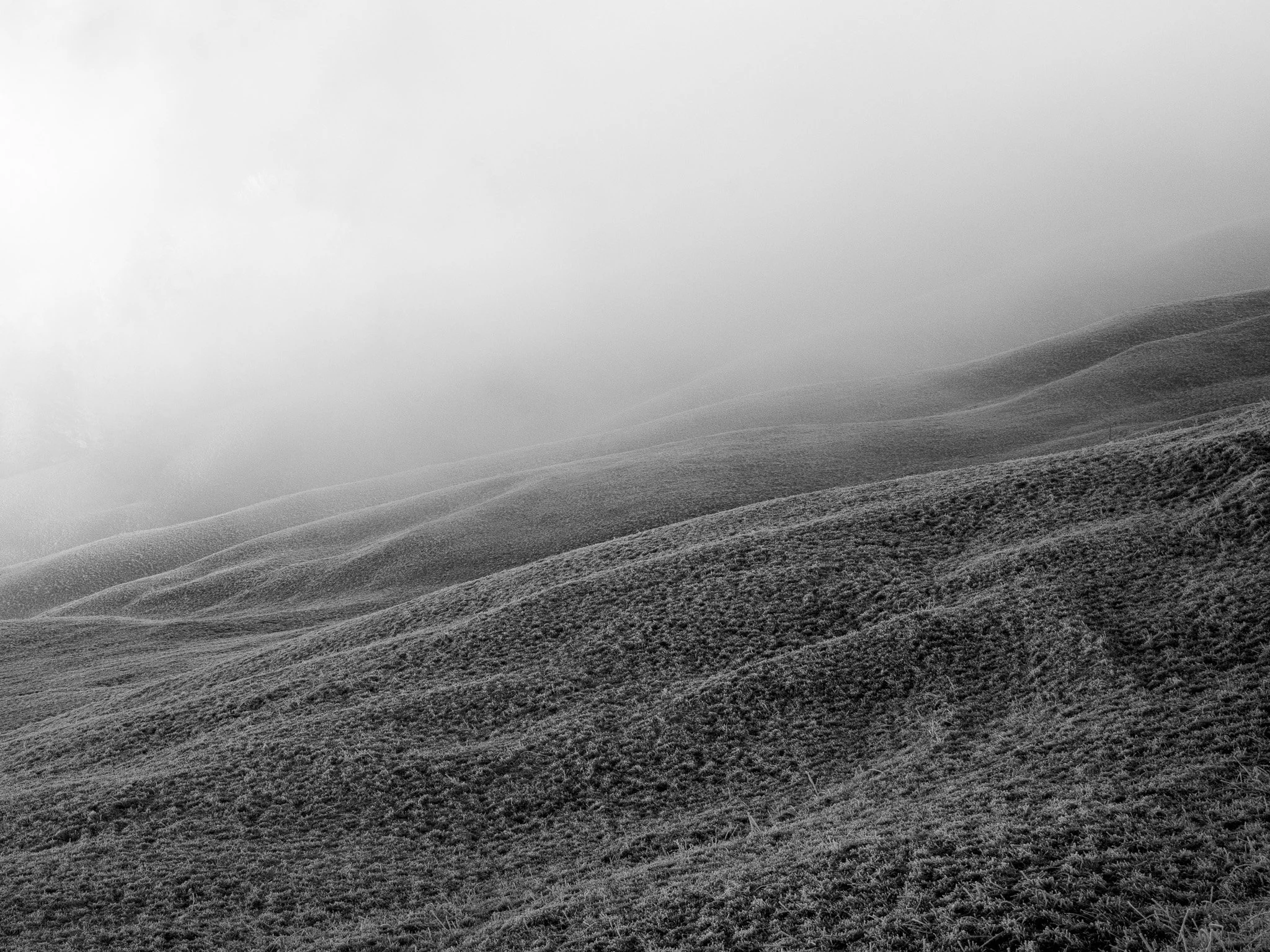 9_Walter Hiltpold Fotografie_Spaziergänge.jpg