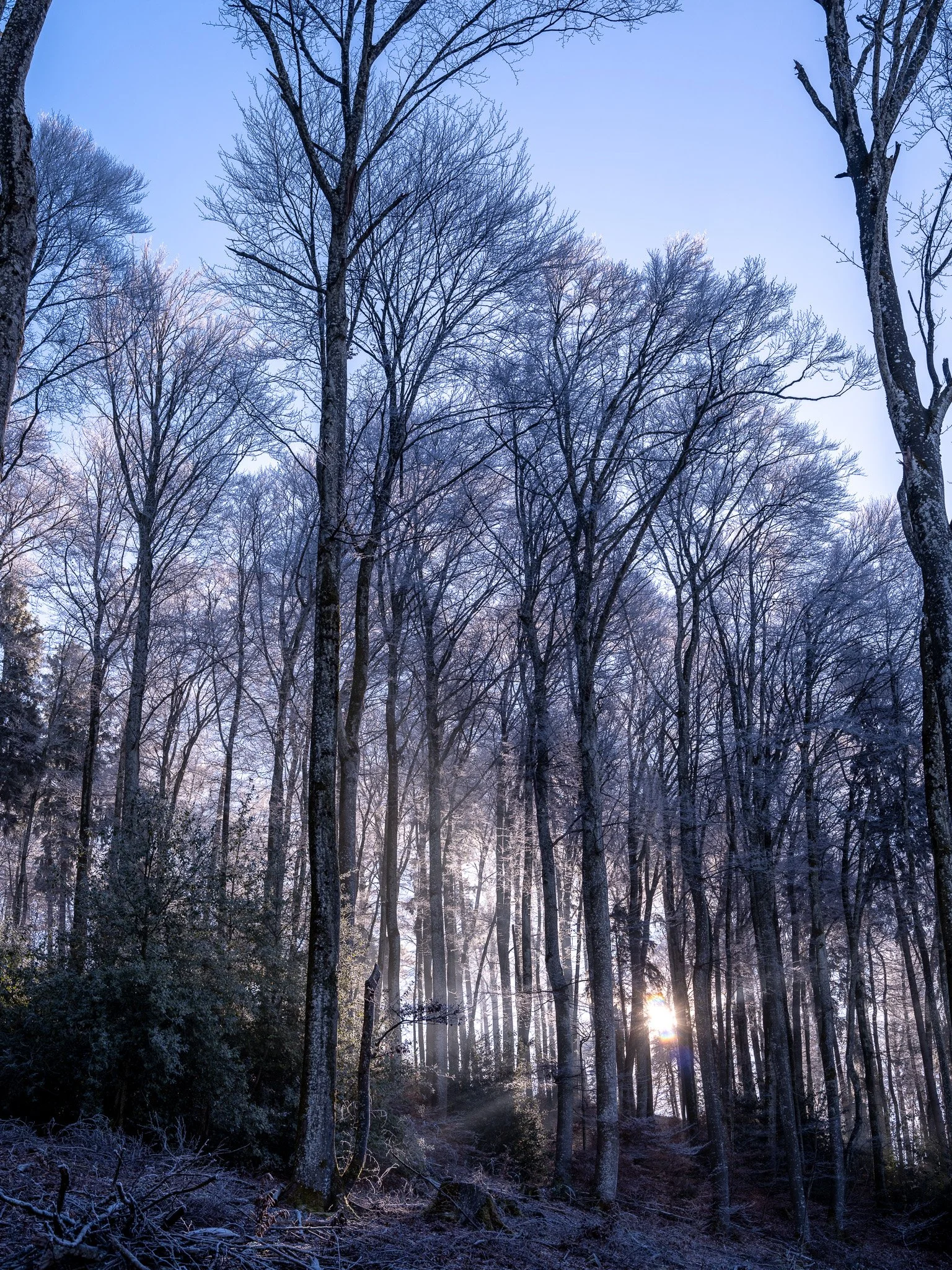 1_Walter Hiltpold Fotografie_Spaziergänge.jpg
