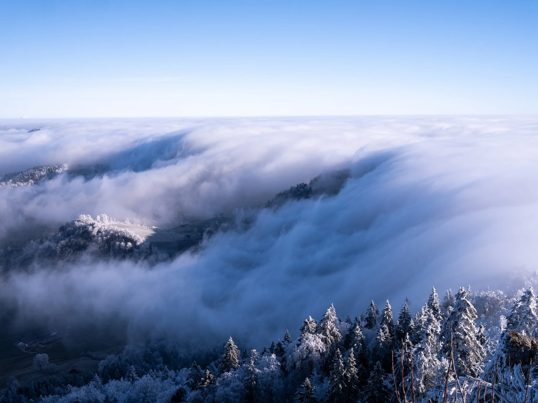 7_Walter Hiltpold Fotografie_Spaziergänge.jpg