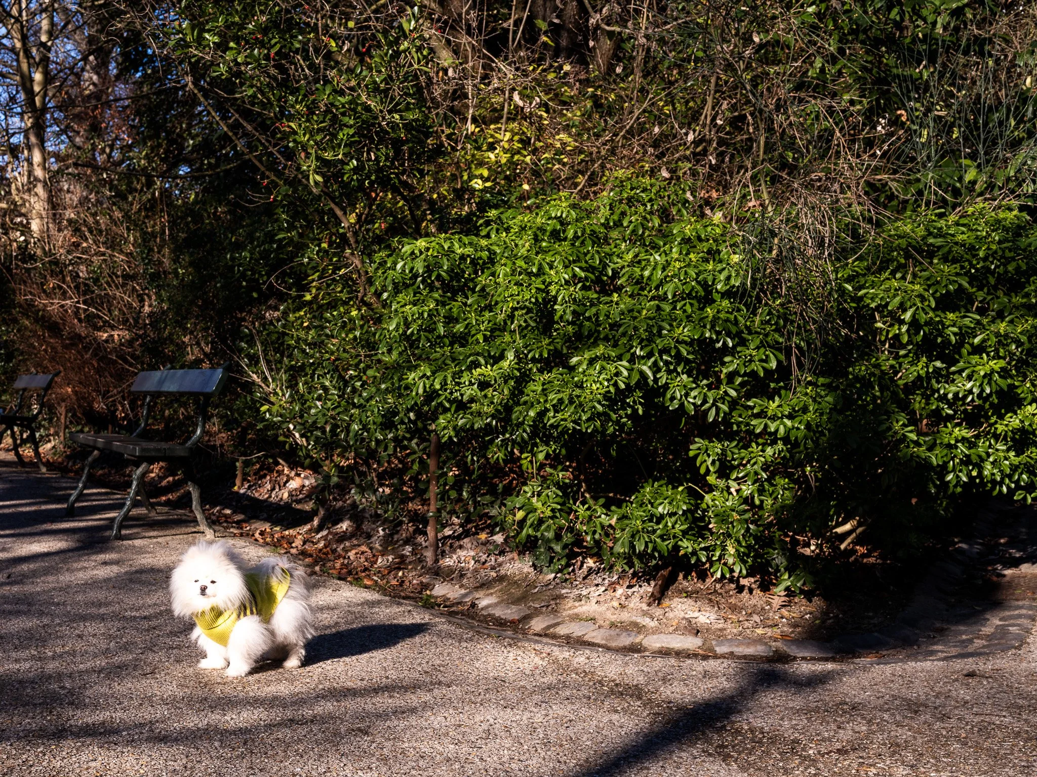2_Paris_Walter Hiltpold Fotografie.jpg