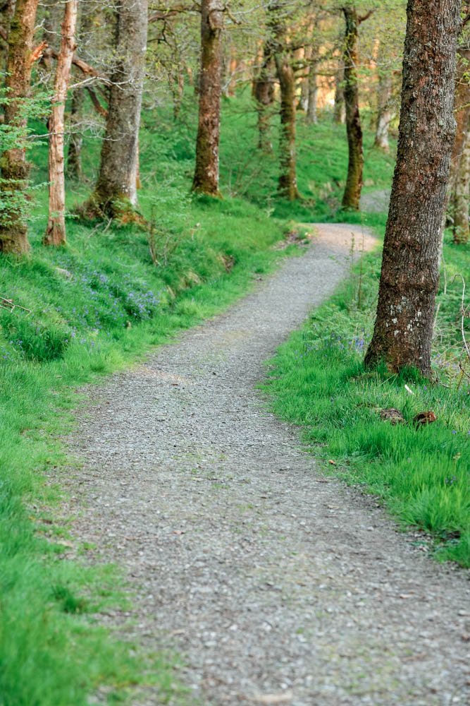 Glen Finglas Drippan Path