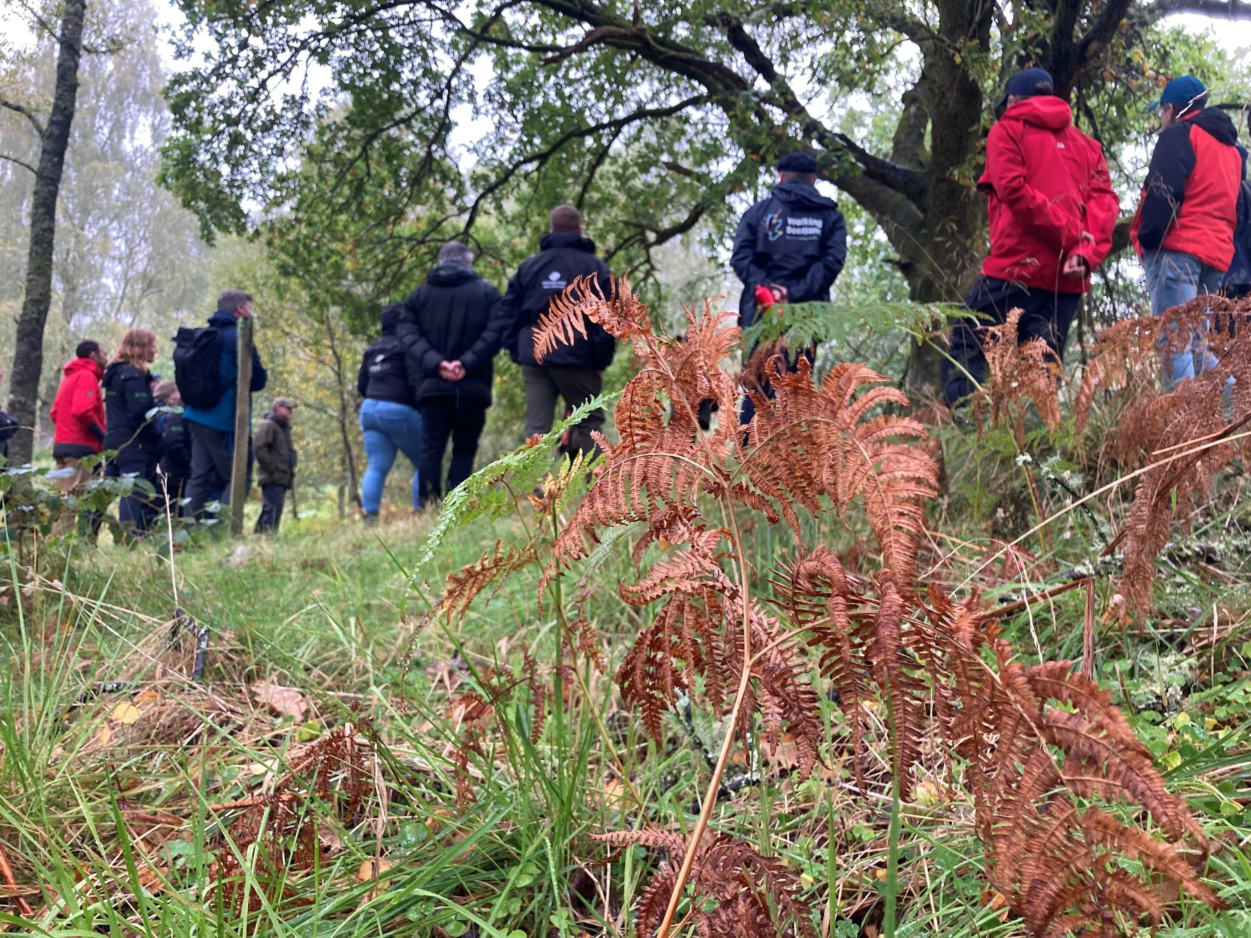 TGTF event Sept 2025 bracken.jpg