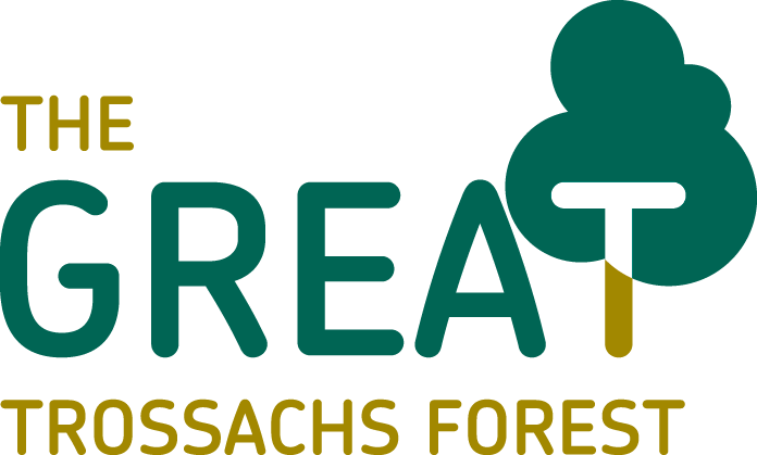 Hiking Map - The Great Trossachs Path & Forest XT40 | Harvey Maps - Na – La Compagnie Des Cartes