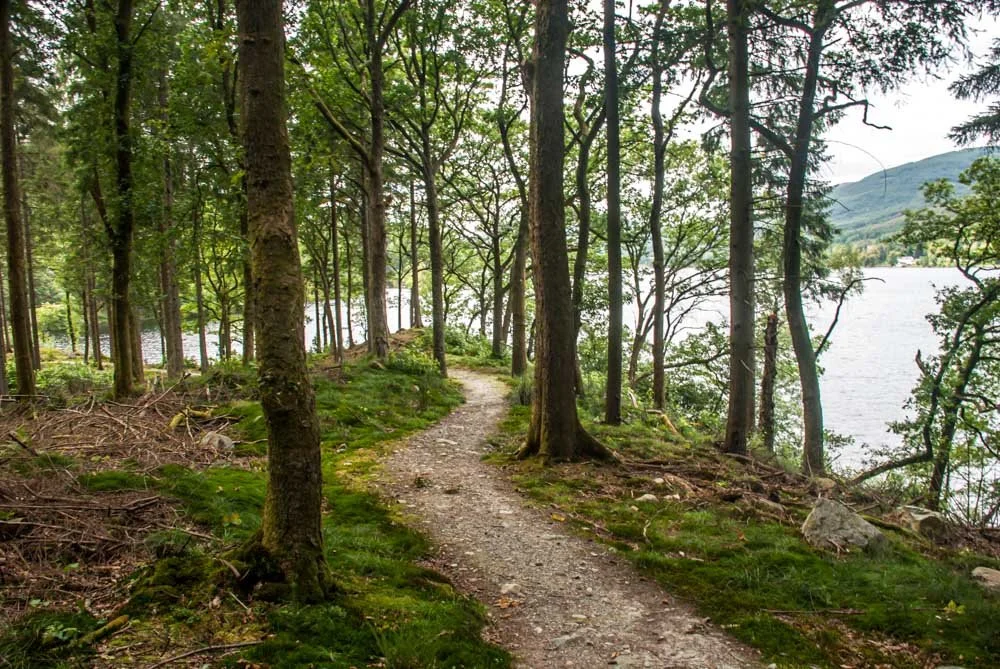 a loch within the Great Trossachs Forest