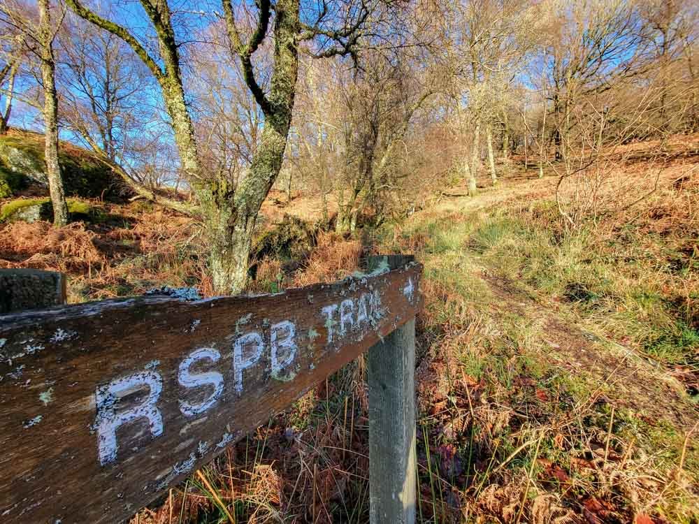 RSPB trail at Inversnaid, Loch Lomond