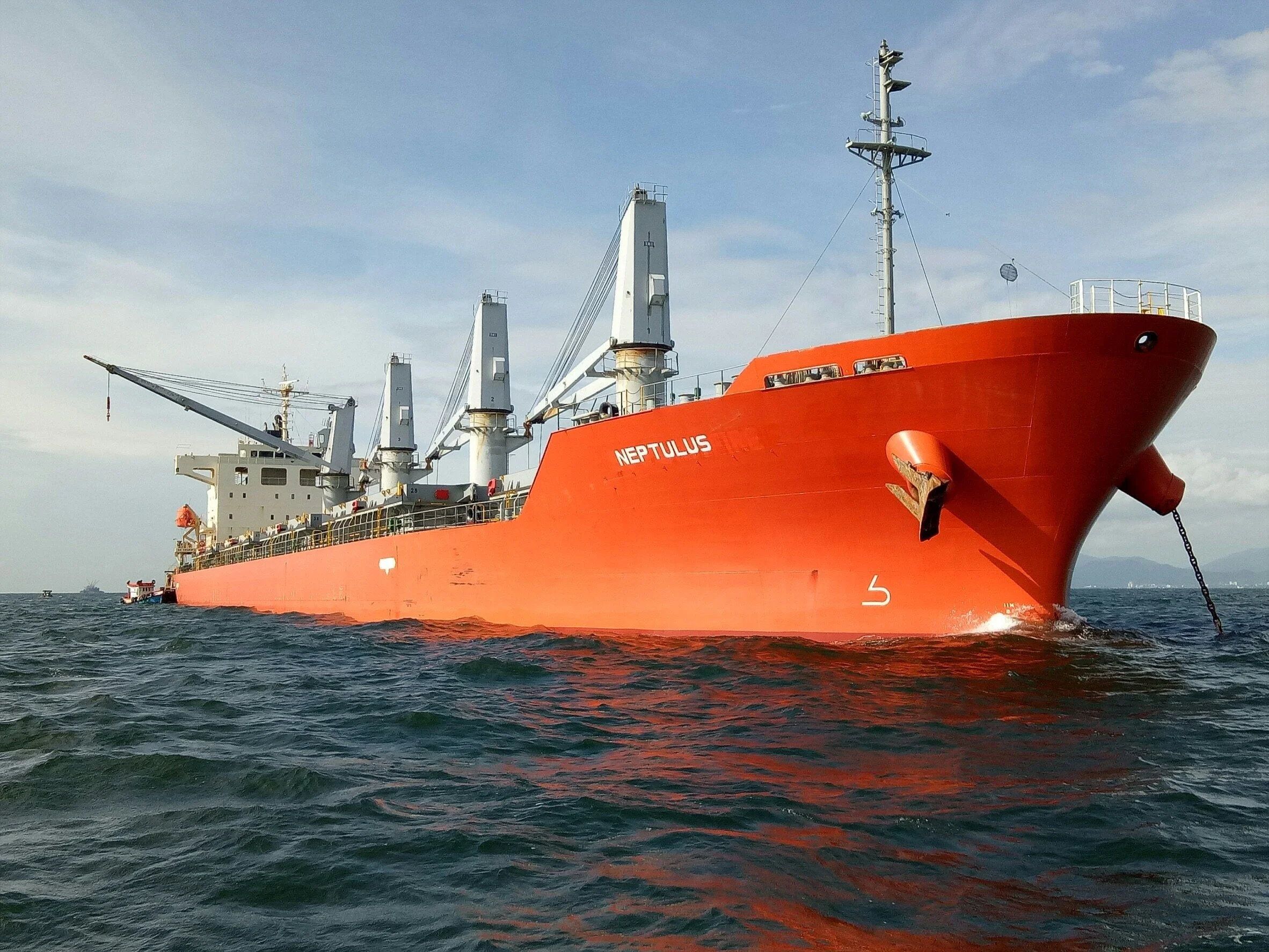 MV Neptulus DAP 33K.JPG