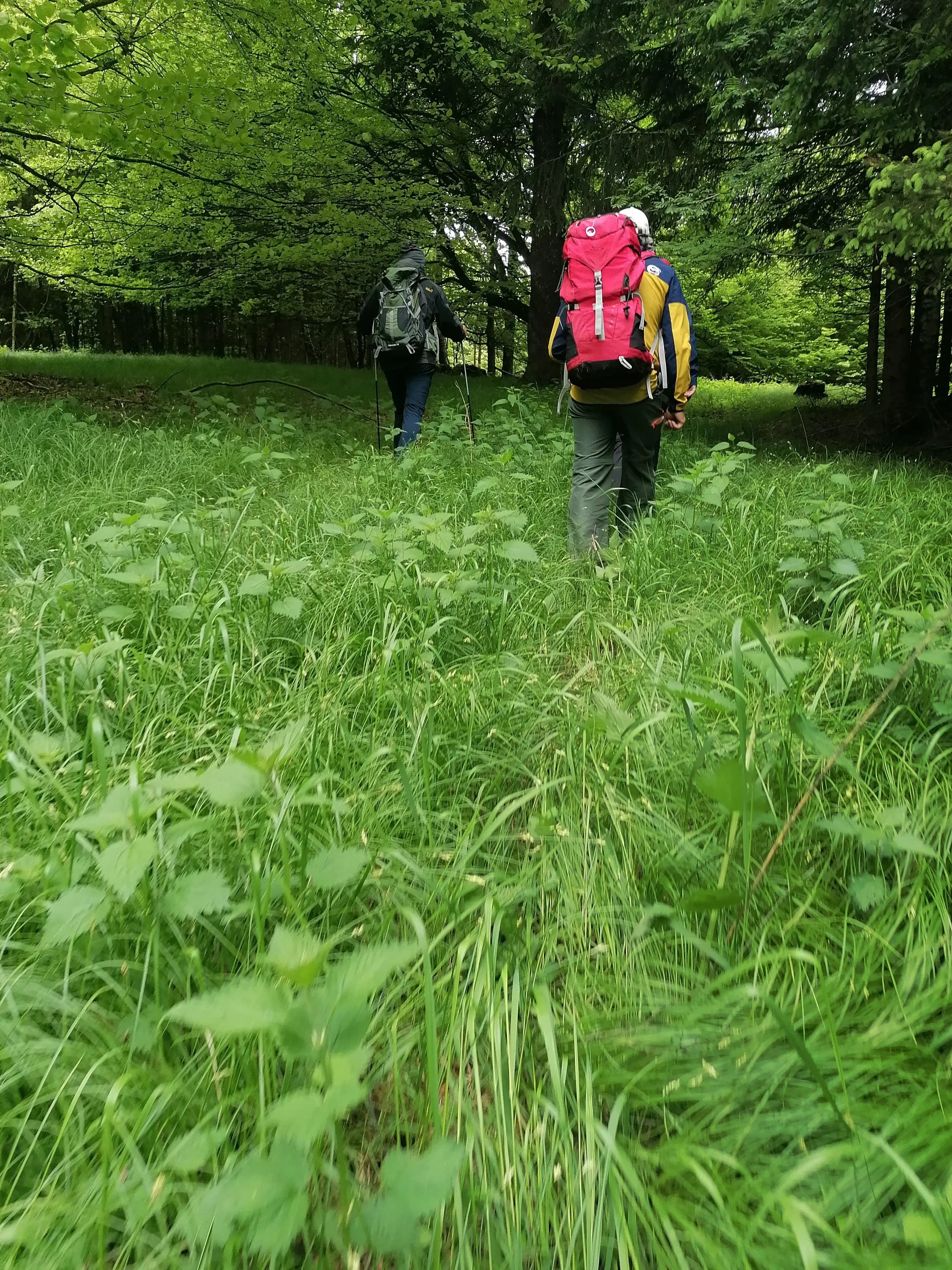 Erika Harringer – Wir wandern gerne. Ein tolles gemeinsames Erlebnis war die Pilgerreise zum Franz-Jägerstätter-Denkmal. Pilgern ist eine Reise für die Seele: Je weiter man geht, desto näher kommt man zu sich selbst.
