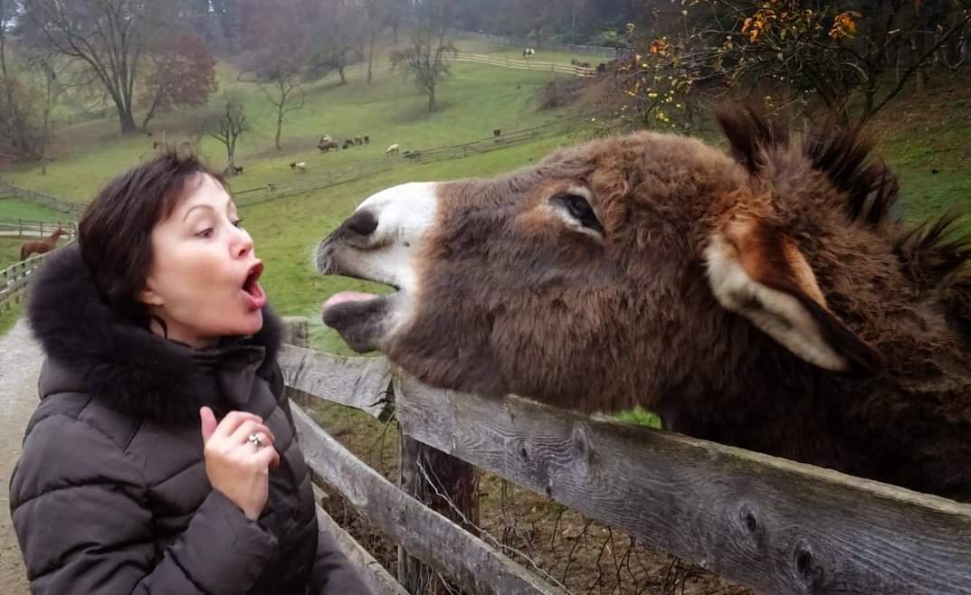 Victoria Rogl – Ich liebe Tiere und fühle mich in ihrer Gesellschaft sehr wohl. Und ich denke, die Tiere mögen mich auch. Und manchmal kommt es sogar zu einer lustigen Unterhaltung, wie hier mit diesem Esel.