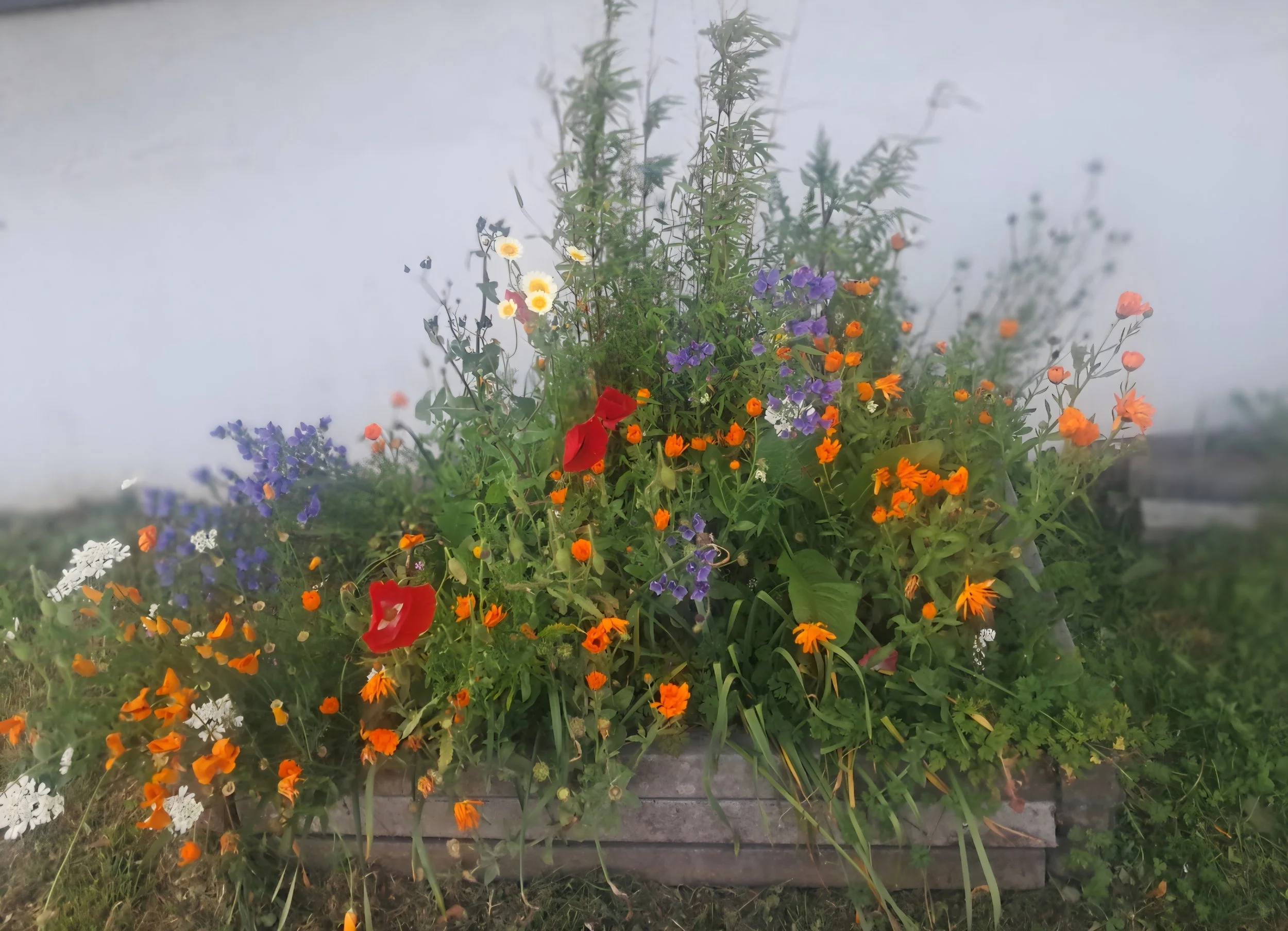 Christina Moser – Den Blick auf Schönes werfen, Blumen bewundern und am Morgen den Tag genießen.