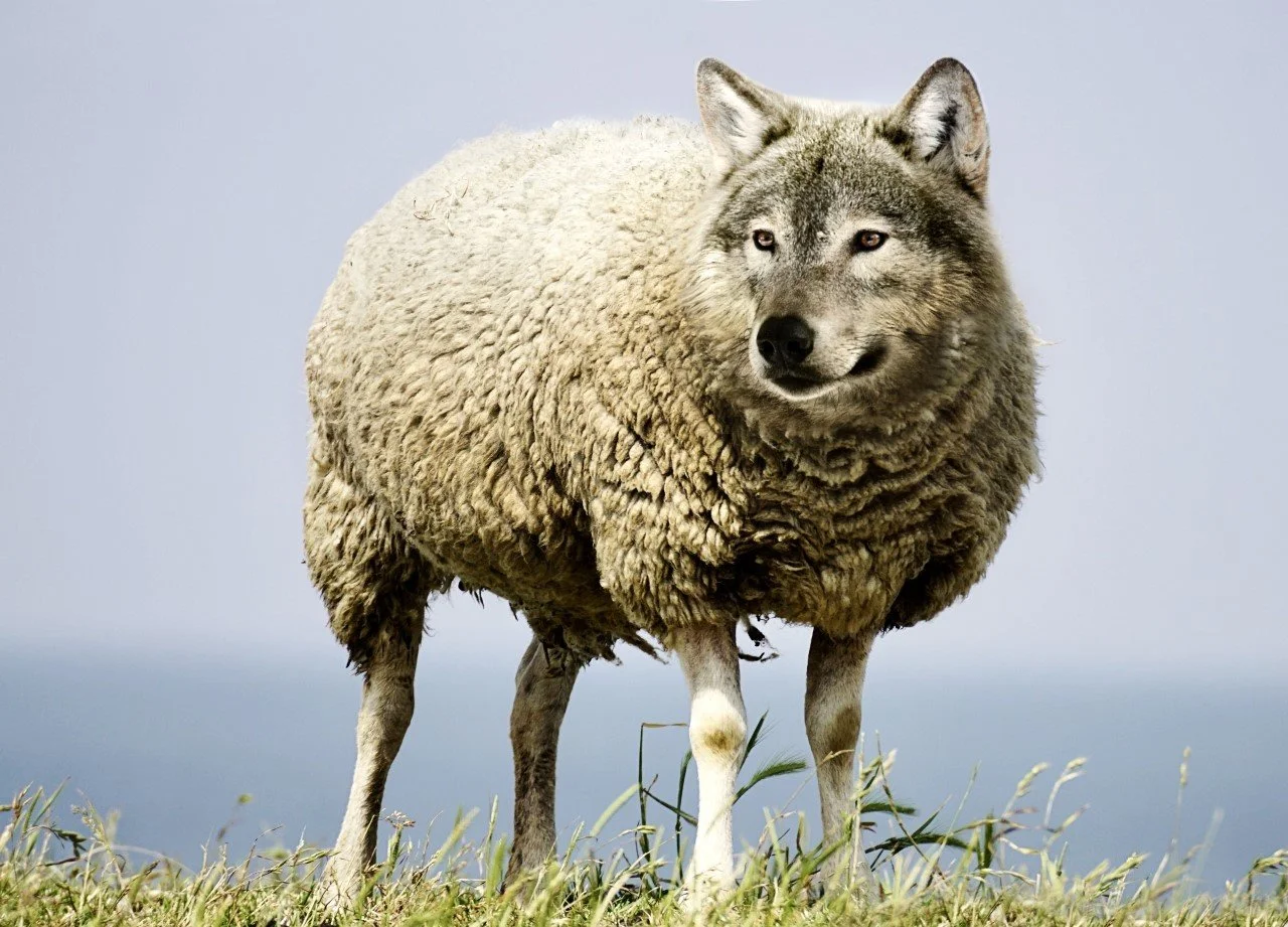 La volatilité n’est pas la bonne mesure du risque