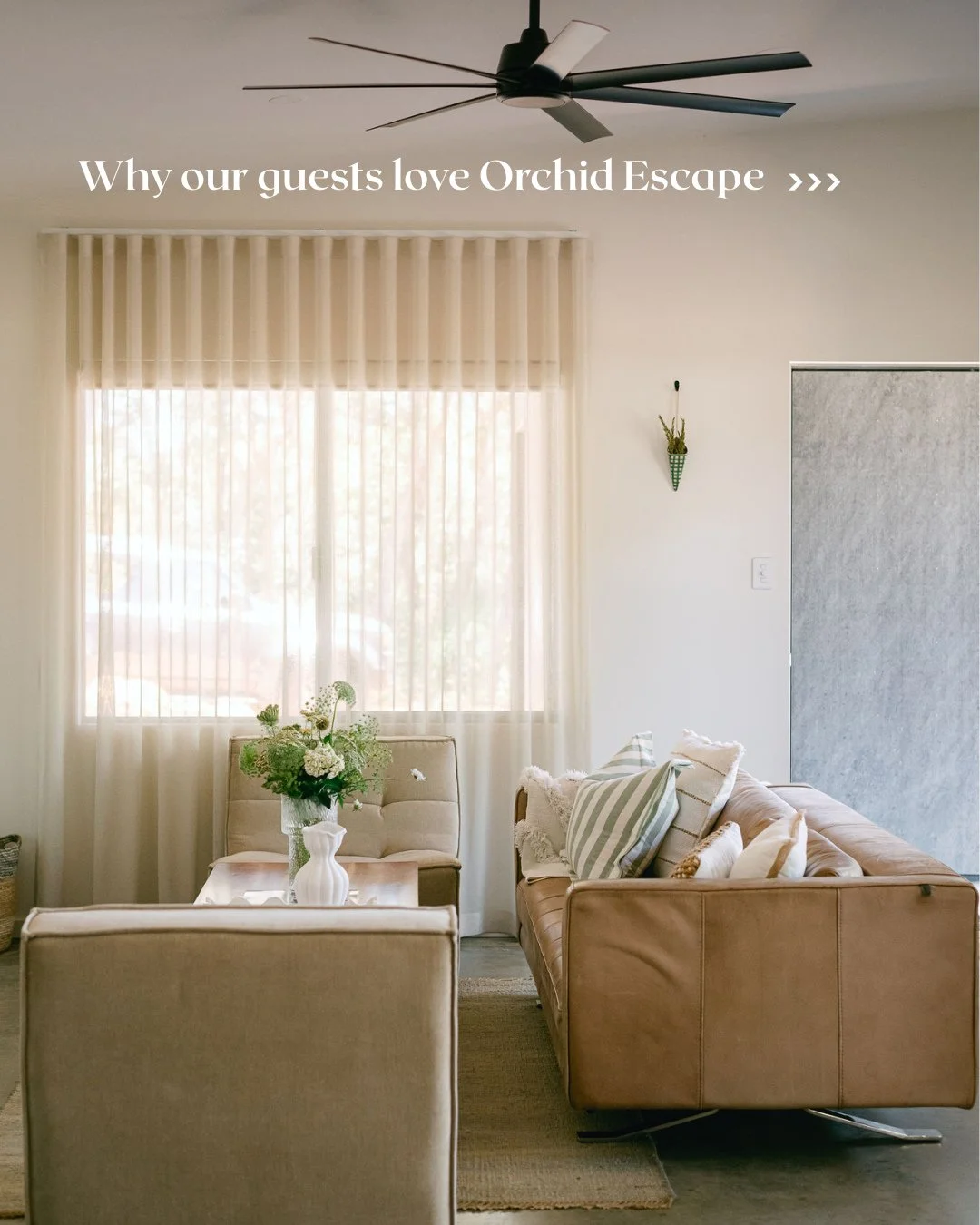 Welcome to Orchid Escape 🤍 Tucked away amongst the trees yet just a 5-minute drive from the beach, this beautiful retreat offers the perfect blend of luxury and laid-back and cosy coastal living.⁠
⁠
Your winter getaway is waiting ✨