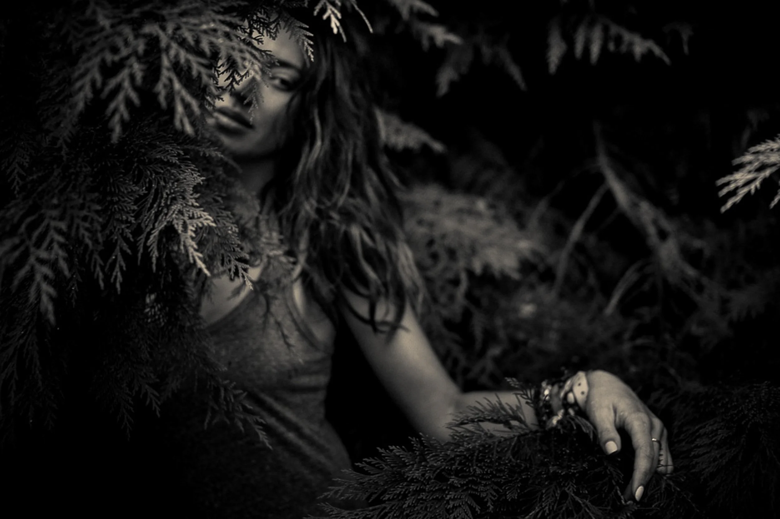 My Favourite Studio of All-Time!