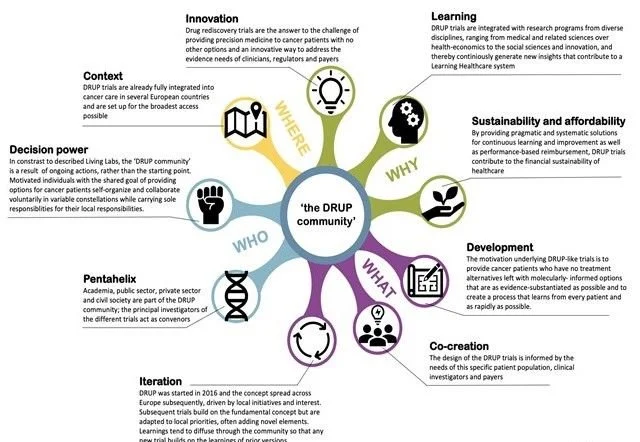 RIME-ROSE: A community of DRUP-like clinical trials using “Living Lab principles” for the implementation of precision cancer medicine in Europe.