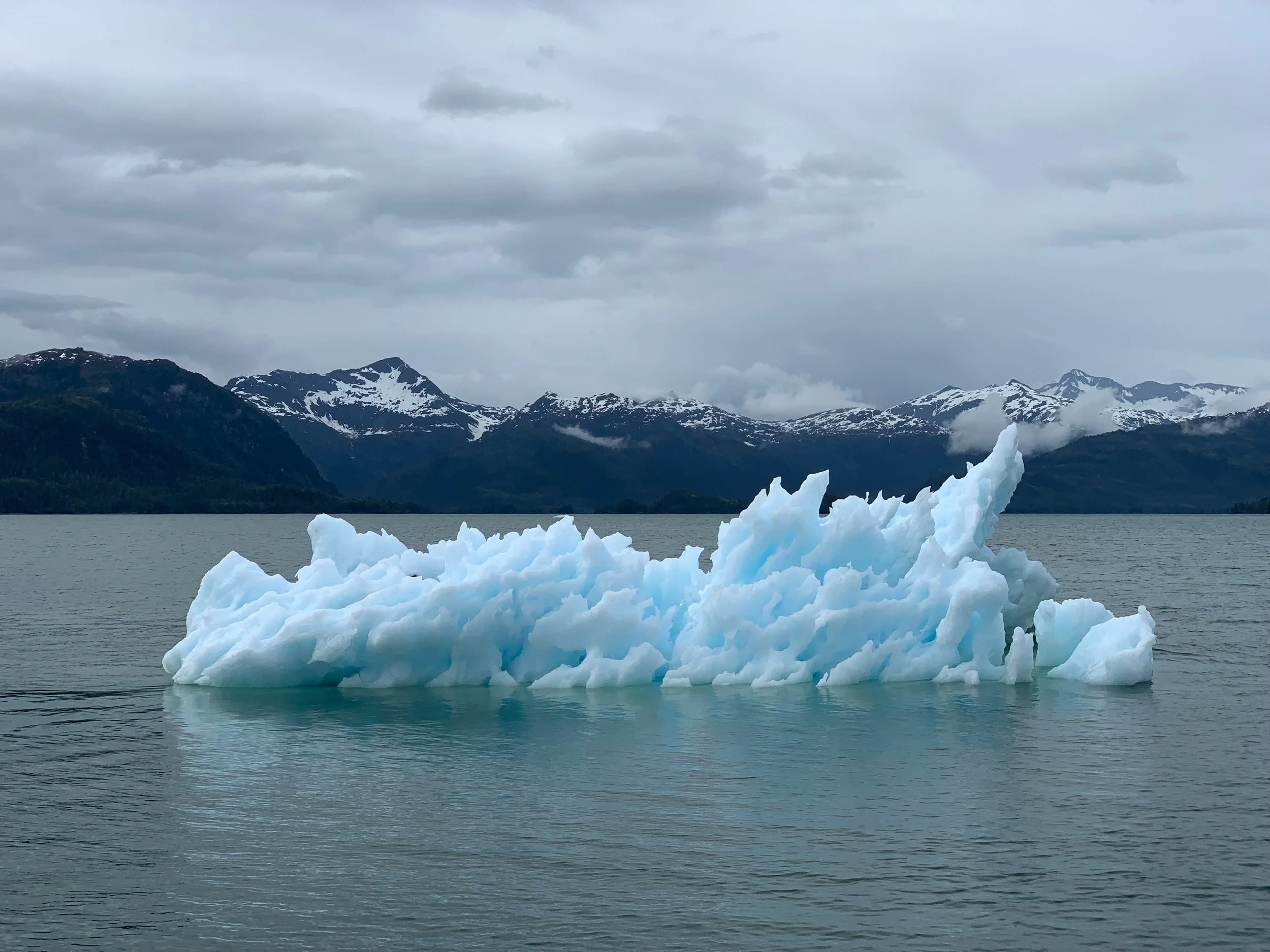 Résilience et adaptation au changement climatique: identifier les risques
