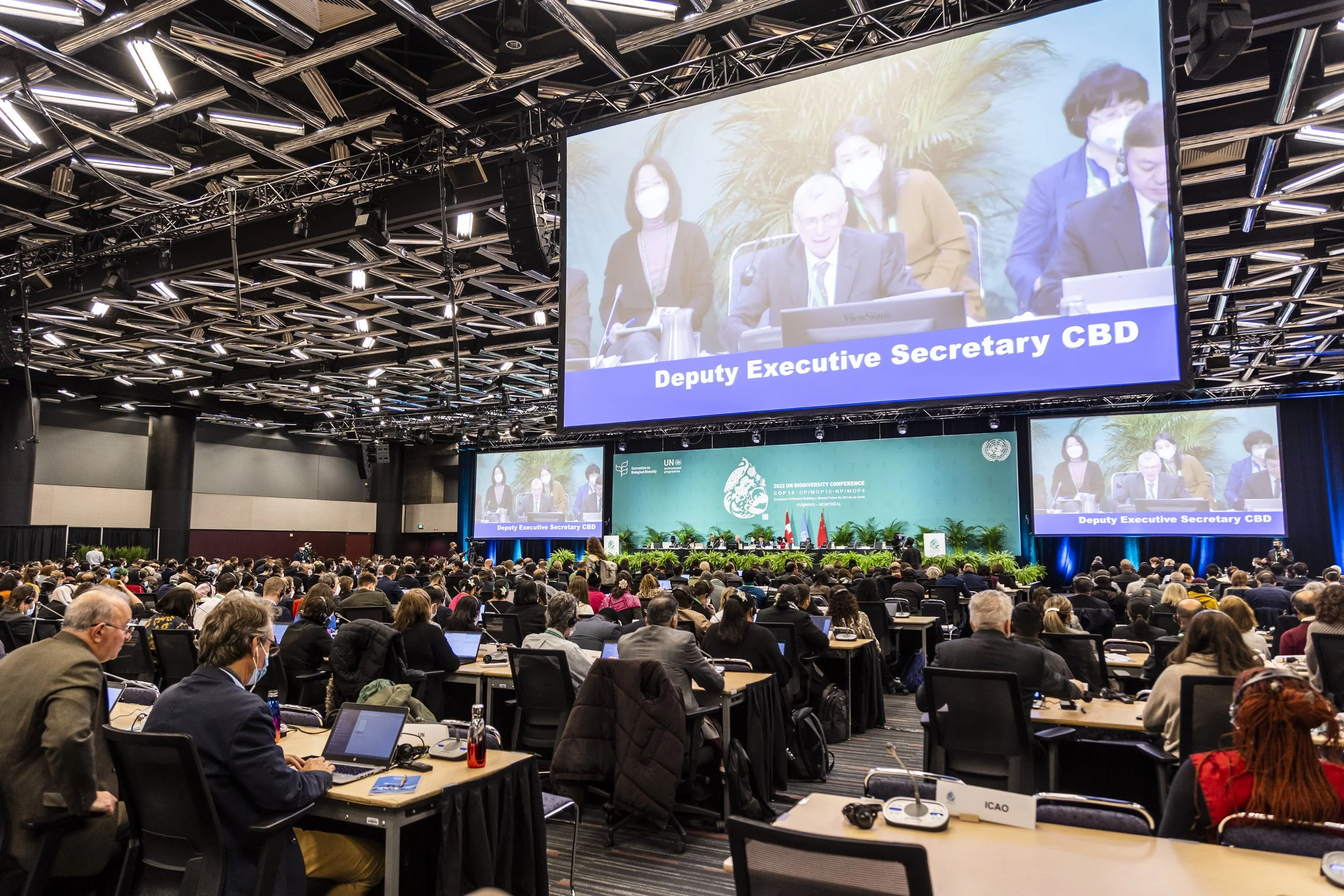 COP15 biodiversité : quels objectifs pour 2030 et quel rôle pour les entreprises ?