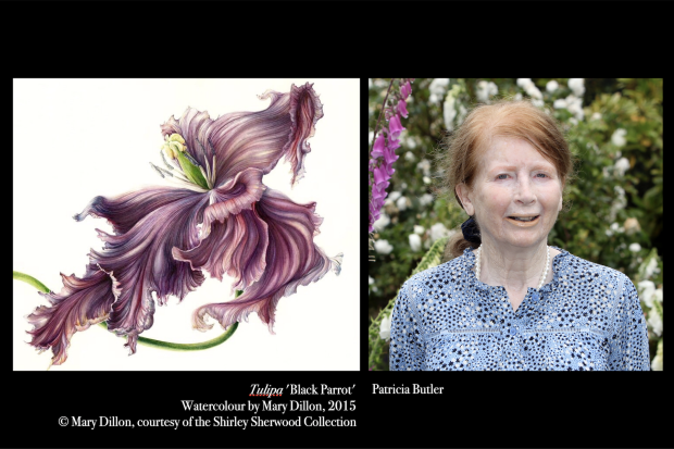 Patricia Butler - Drawn From Nature. The Flowering of Botanical Art