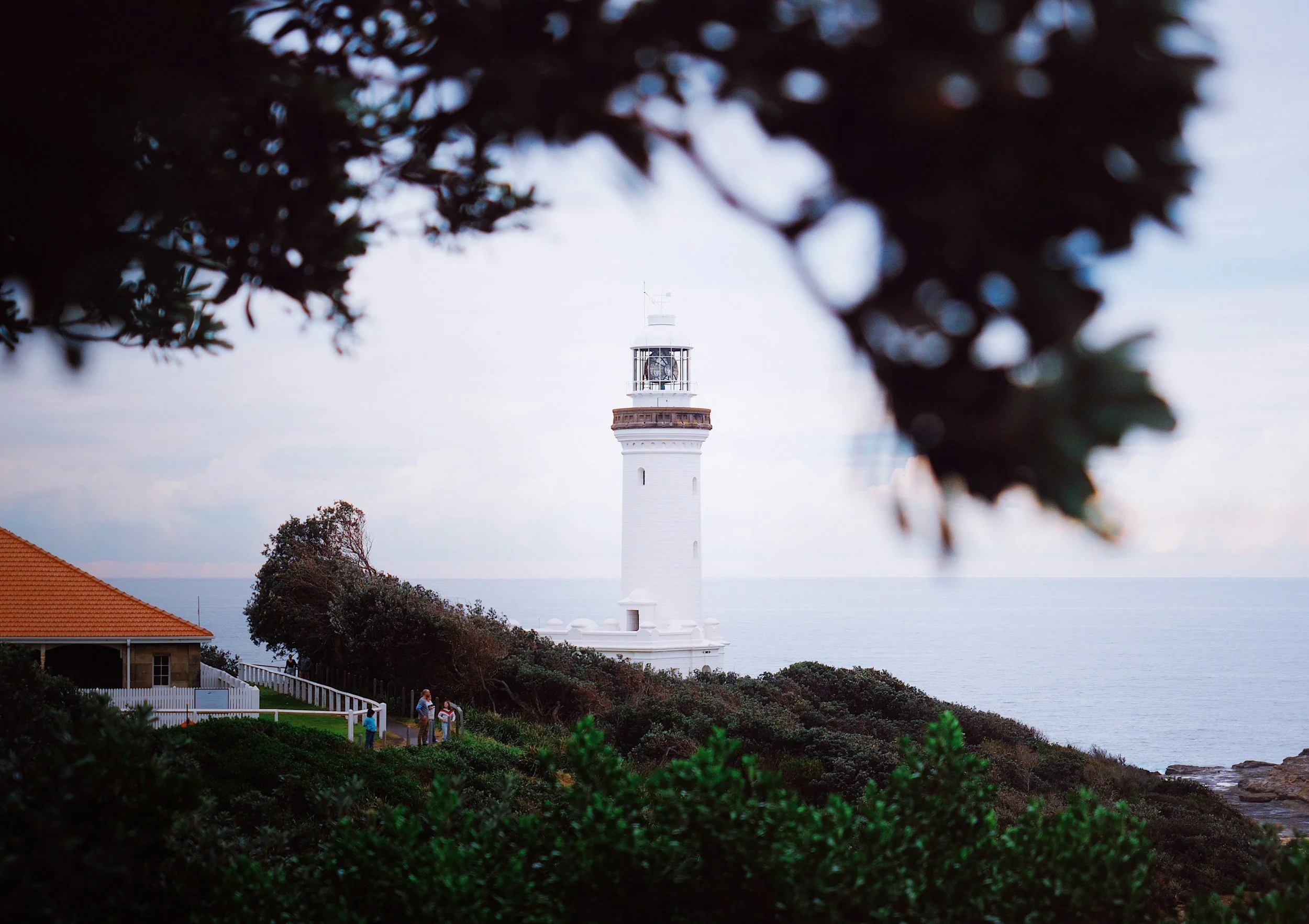 A white lighthouse with a black lantern room, seen through leafy branches. The lighthouse is situated on a coastal landscape with green bushes and trees. A small group of people are walking near a building with a red tile roof on the left side of the image, overlooking the ocean.
