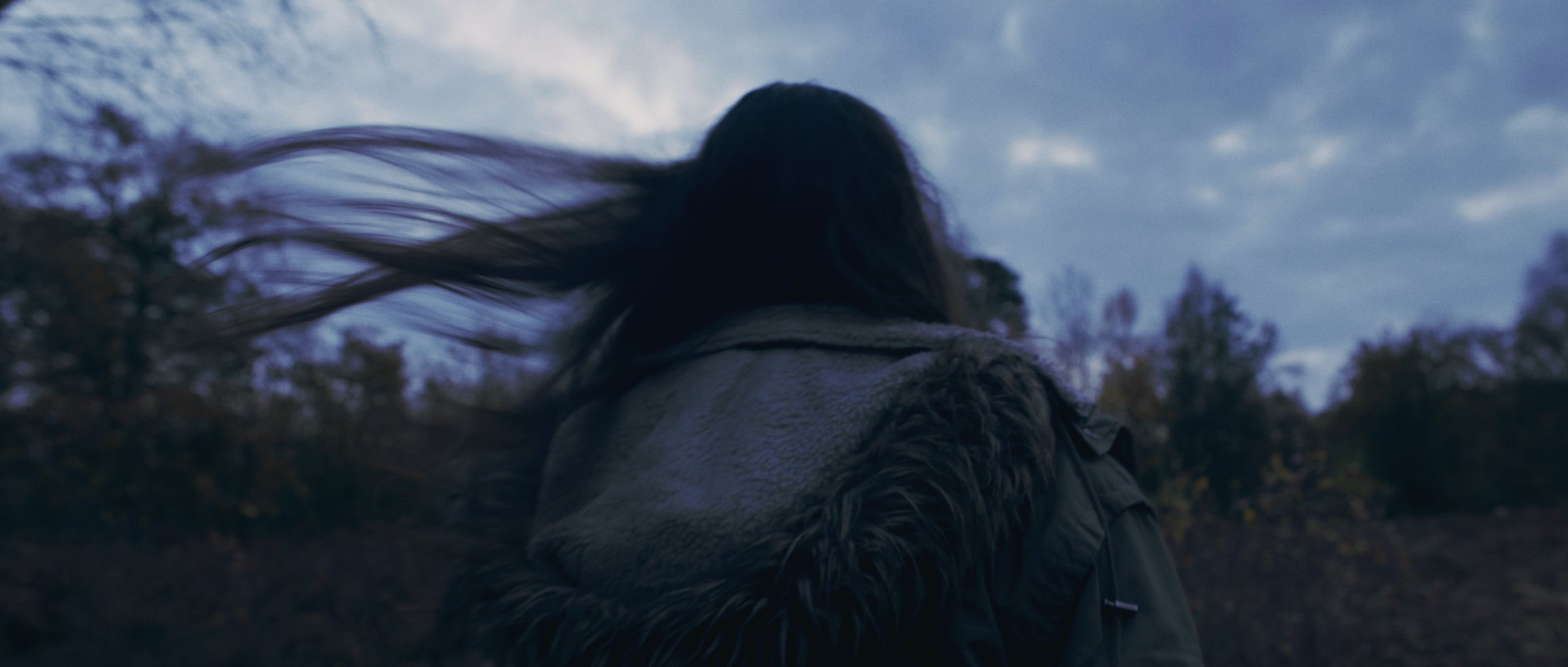A woman walks through the forest at dawn as her hair blows in the wind, Flying Blind