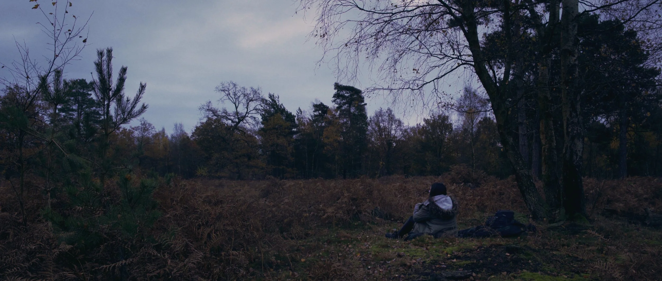 A woman sits at her campsite at dawn, Flying Blind