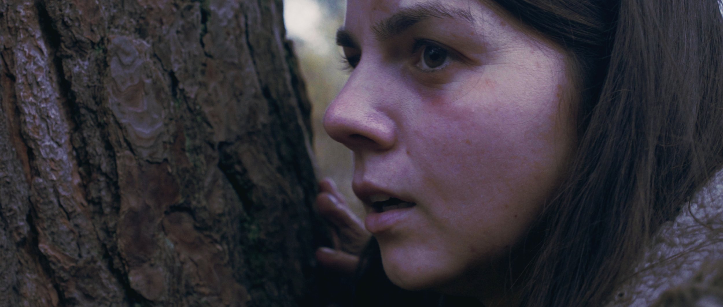 A woman leans against a tree and looks into the forest on a cloudy day, Flying Blind