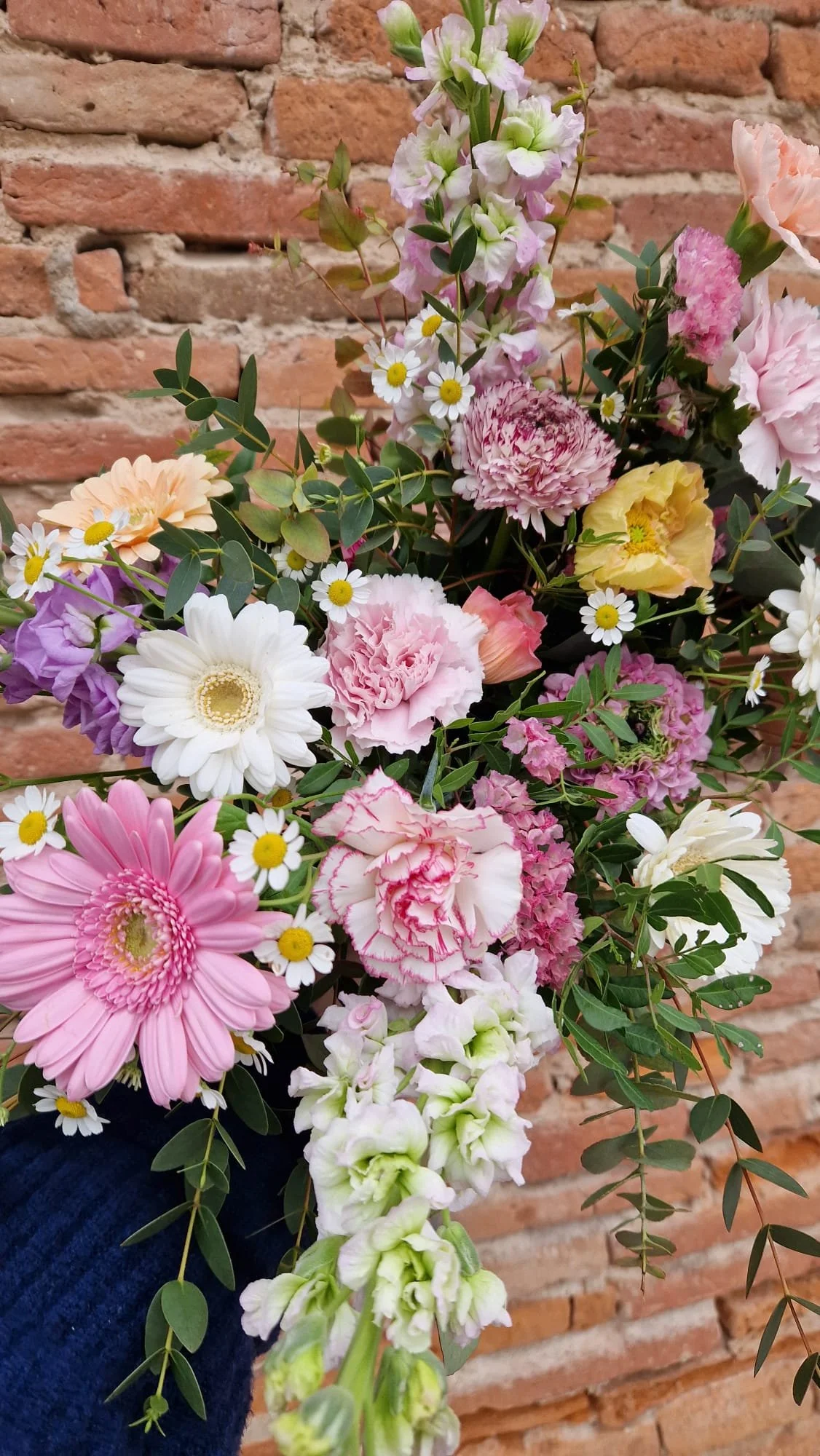 WhatsApp Image 2026-04-09 at 11.16.25(2).jpeg